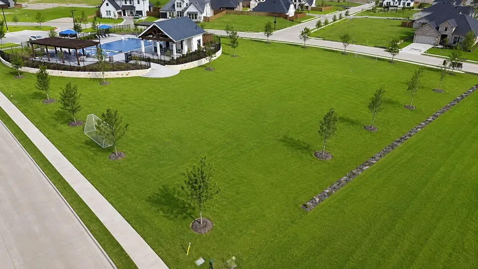 Homestead-6