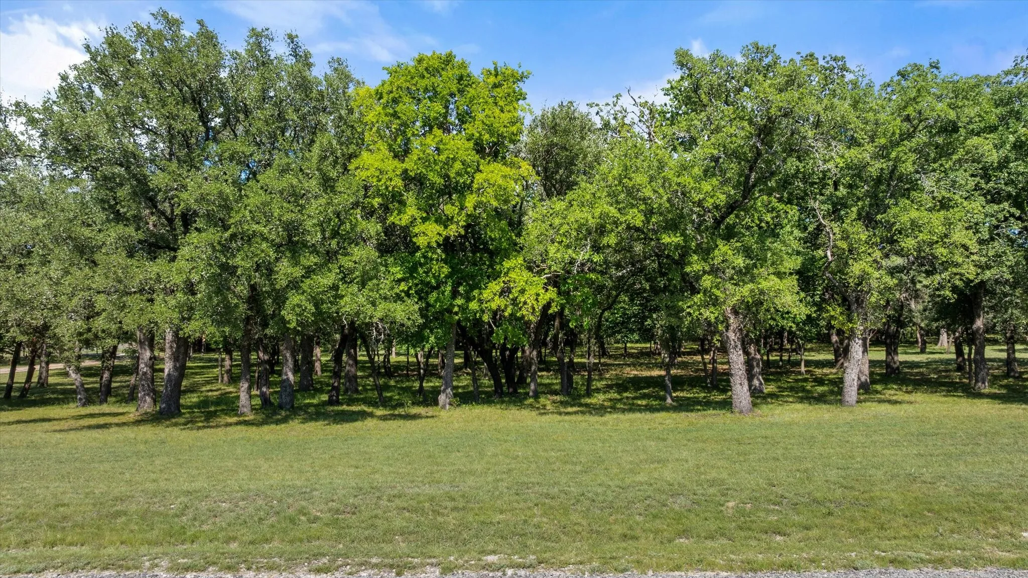 Single Family Residence For Sale in Hood County , 15403 Mule Branch Court, Lipan, Texas 76462, 3 Bedroom, 2 Bathroom, 3 Garage spaces, 1,836 Sqft, built in 1995, mls#21306356, Real Estate Agent in Lipan, Homes For Sale in Hood county, Homes For Sale in Lipan, Realtor in Lipan Texas, Real Estate Brokerage Independent Realty Texas, Luminita Cordes Realtor