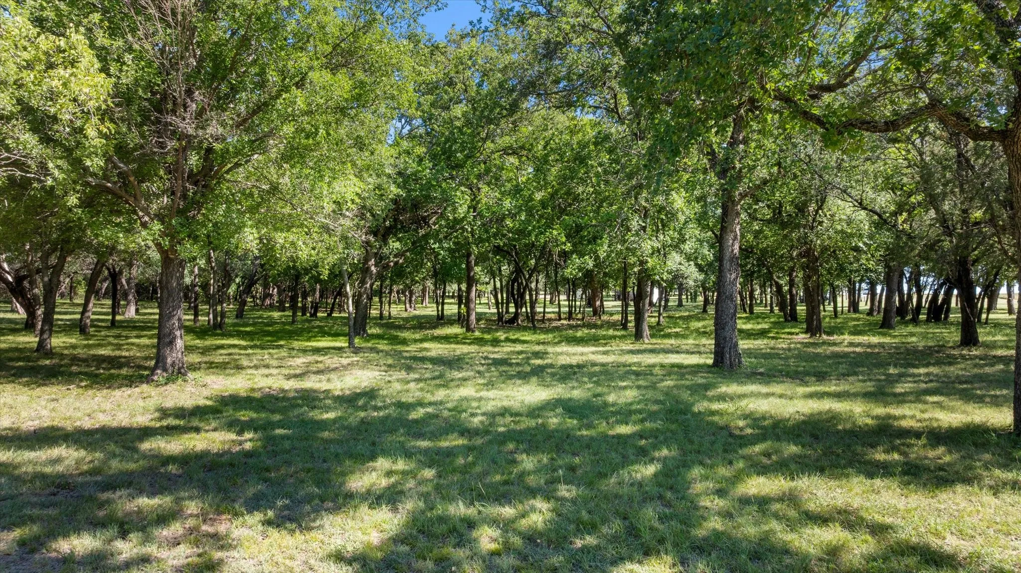 Single Family Residence For Sale in Hood County , 15403 Mule Branch Court, Lipan, Texas 76462, 3 Bedroom, 2 Bathroom, 3 Garage spaces, 1,836 Sqft, built in 1995, mls#21306356, Real Estate Agent in Lipan, Homes For Sale in Hood county, Homes For Sale in Lipan, Realtor in Lipan Texas, Real Estate Brokerage Independent Realty Texas, Luminita Cordes Realtor