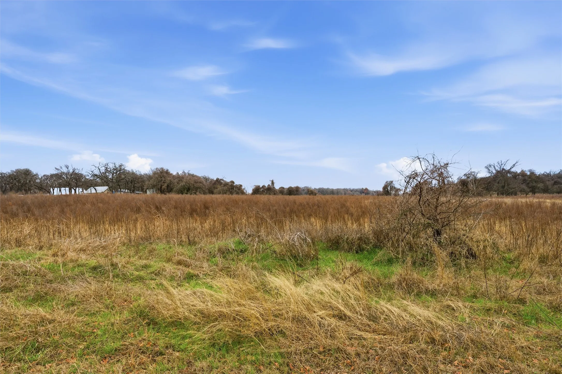 Unimproved Land For Sale in Mc Lennan County , TBD Lot 3 Mary Ware Drive, Waco, Texas 76705, 0, 0, Garage spaces, 0 Sqft, built in 0, mls#21306686, Real Estate Agent in Waco, Homes For Sale in Mc Lennan county, Homes For Sale in Waco, Realtor in Waco Texas, Real Estate Brokerage Independent Realty Texas, Luminita Cordes Realtor