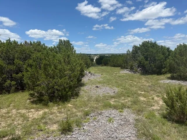 Unimproved Land For Sale in Hamilton County , 1320 Private Road 16021, Jonesboro, Texas 76538, 0, 0, Garage spaces, 0 Sqft, built in 0, Price $84,900, mls#21306248, Real Estate Agent in Jonesboro, Homes For Sale in Hamilton county, Homes For Sale in Jonesboro, Realtor in Jonesboro Texas, Real Estate Brokerage Independent Realty Texas, Luminita Cordes Realtor
