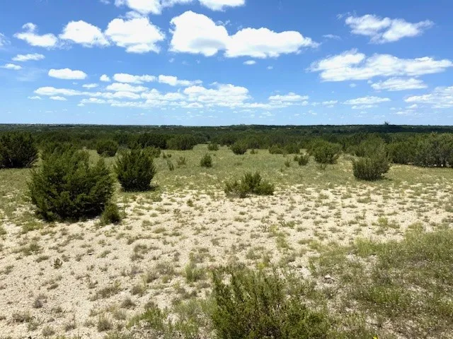 Unimproved Land For Sale in Hamilton County , 1320 Private Road 16021, Jonesboro, Texas 76538, 0, 0, Garage spaces, 0 Sqft, built in 0, Price $84,900, mls#21306248, Real Estate Agent in Jonesboro, Homes For Sale in Hamilton county, Homes For Sale in Jonesboro, Realtor in Jonesboro Texas, Real Estate Brokerage Independent Realty Texas, Luminita Cordes Realtor