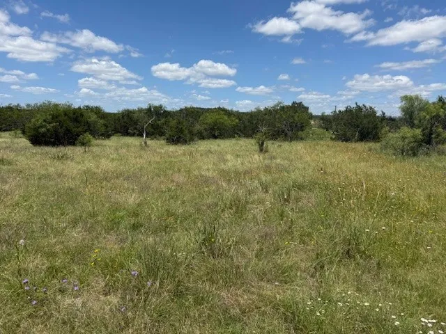 Unimproved Land For Sale in Hamilton County , 1320 Private Road 16021, Jonesboro, Texas 76538, 0, 0, Garage spaces, 0 Sqft, built in 0, Price $84,900, mls#21306248, Real Estate Agent in Jonesboro, Homes For Sale in Hamilton county, Homes For Sale in Jonesboro, Realtor in Jonesboro Texas, Real Estate Brokerage Independent Realty Texas, Luminita Cordes Realtor