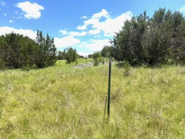 Unimproved Land For Sale in Hamilton County , 1320 Private Road 16021, Jonesboro, Texas 76538, 0, 0, Garage spaces, 0 Sqft, built in 0, Price $84,900, mls#21306248, Real Estate Agent in Jonesboro, Homes For Sale in Hamilton county, Homes For Sale in Jonesboro, Realtor in Jonesboro Texas, Real Estate Brokerage Independent Realty Texas, Luminita Cordes Realtor