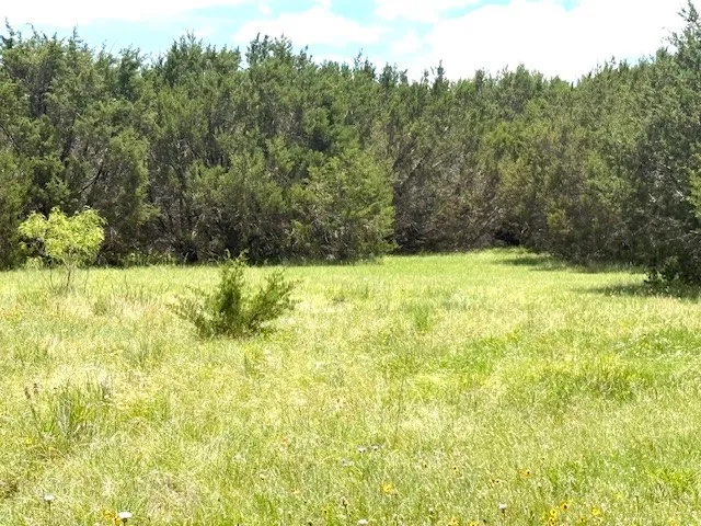 Unimproved Land For Sale in Hamilton County , 1320 Private Road 16021, Jonesboro, Texas 76538, 0, 0, Garage spaces, 0 Sqft, built in 0, Price $84,900, mls#21306248, Real Estate Agent in Jonesboro, Homes For Sale in Hamilton county, Homes For Sale in Jonesboro, Realtor in Jonesboro Texas, Real Estate Brokerage Independent Realty Texas, Luminita Cordes Realtor