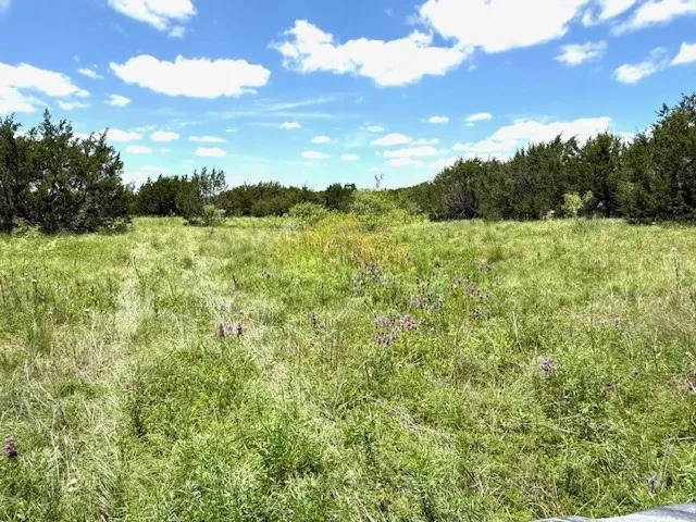 Unimproved Land For Sale in Hamilton County , 1320 Private Road 16021, Jonesboro, Texas 76538, 0, 0, Garage spaces, 0 Sqft, built in 0, Price $84,900, mls#21306248, Real Estate Agent in Jonesboro, Homes For Sale in Hamilton county, Homes For Sale in Jonesboro, Realtor in Jonesboro Texas, Real Estate Brokerage Independent Realty Texas, Luminita Cordes Realtor