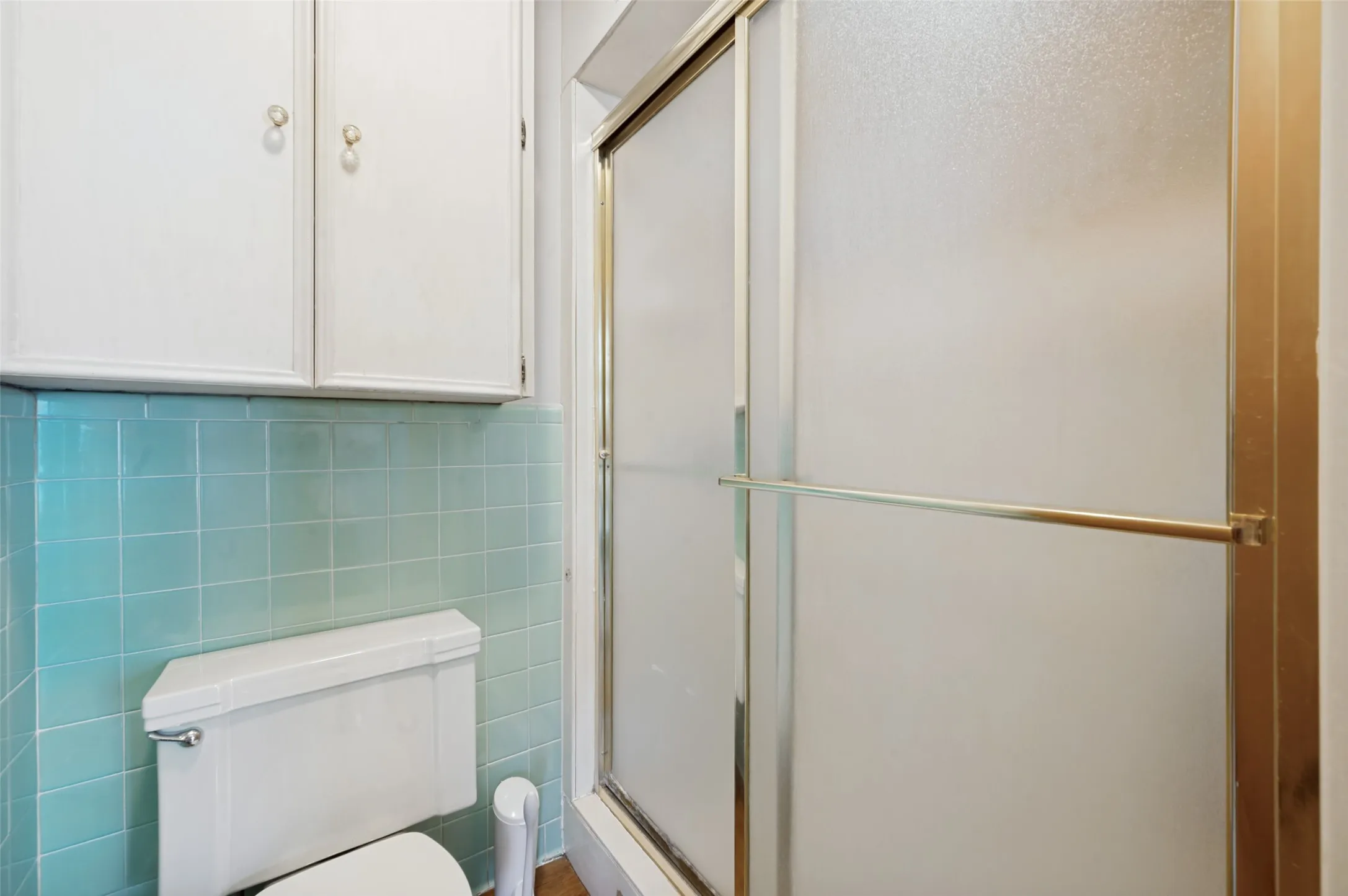 The primary bathroom features a large walk-in shower.