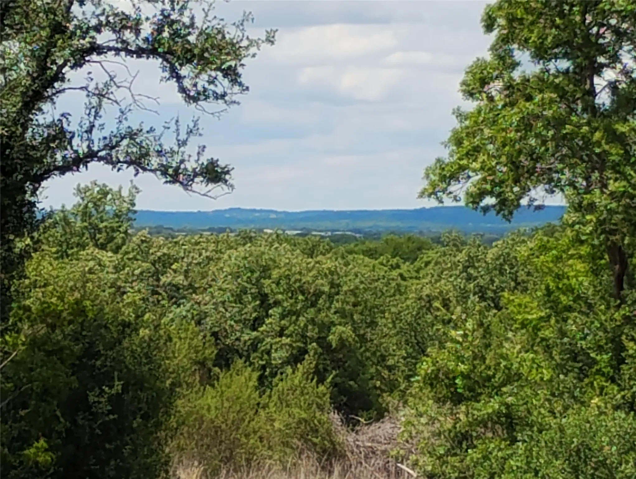 View to North