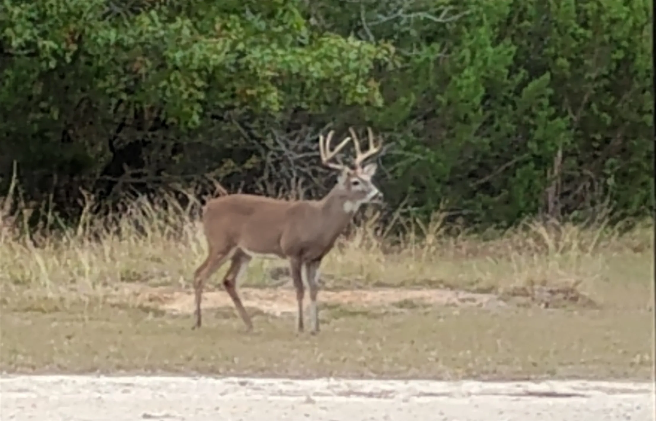Farm For Sale in Erath County , 3851 County Road 156 Road, Bluff Dale, Texas 76433, 3 Bedroom, 3 Bathroom, Garage spaces, 2,623 Sqft, built in 2002, mls#21295169, Real Estate Agent in Bluff Dale, Homes For Sale in Erath county, Homes For Sale in Bluff Dale, Realtor in Bluff Dale Texas, Real Estate Brokerage Independent Realty Texas, Luminita Cordes Realtor