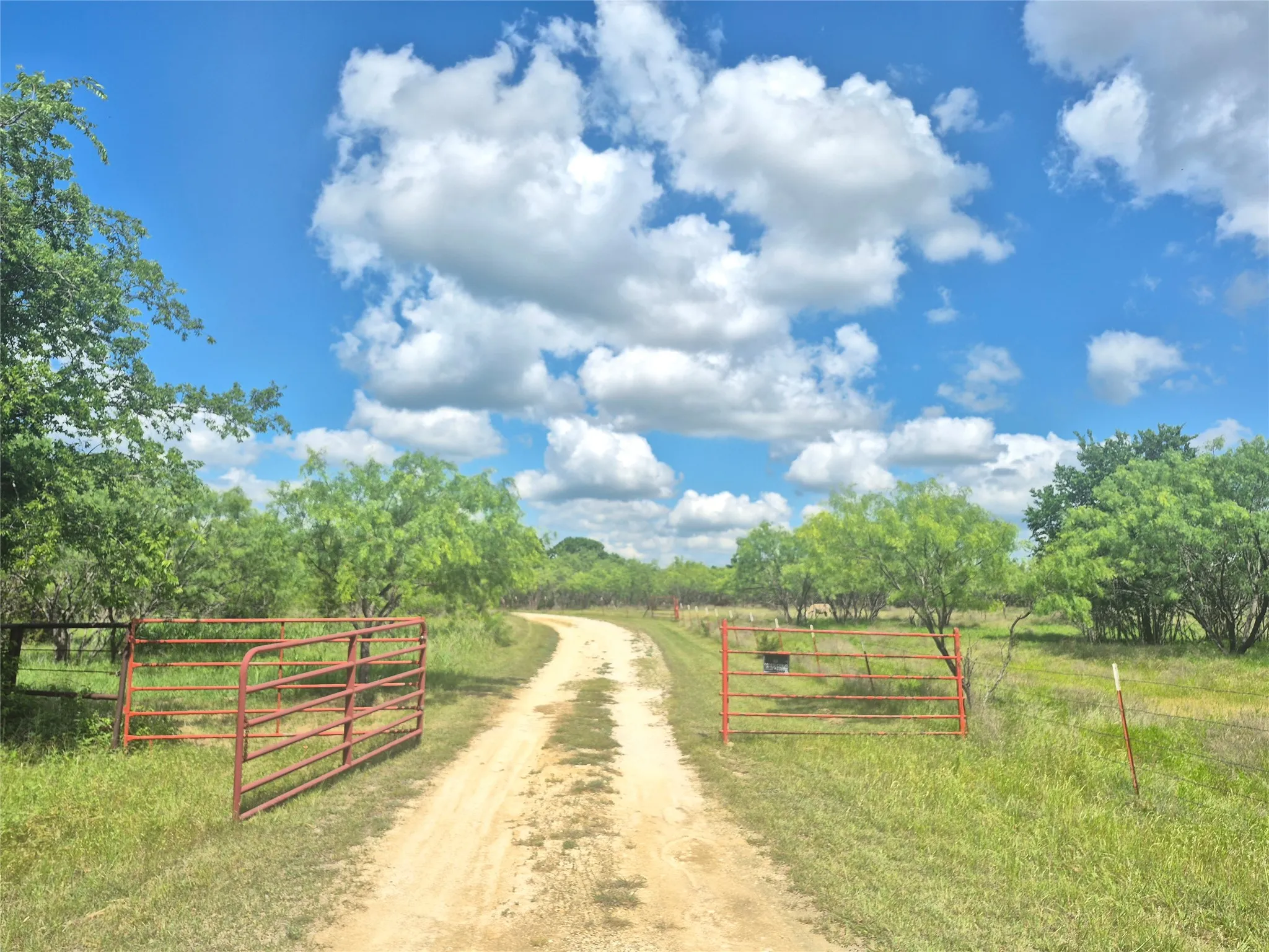 Drive into Property