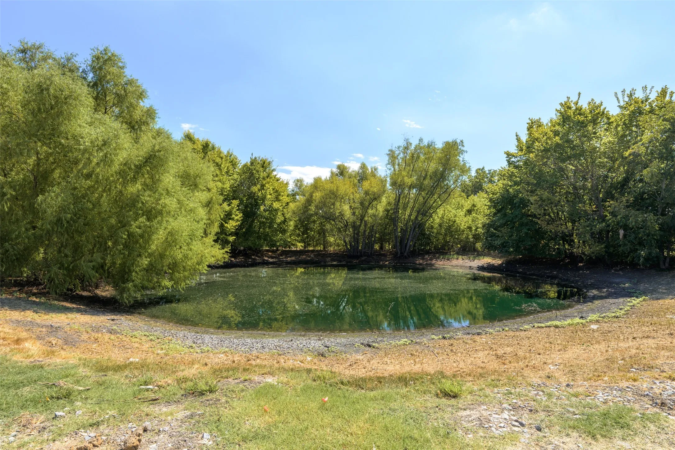 Single Family Residence For Sale in Hunt County , 2340 County Road 1112, Farmersville, Texas 75442, 5 Bedroom, 5 Bathroom, 3 Garage spaces, 2,720 Sqft, built in 2026, mls#21306155, Real Estate Agent in Farmersville, Homes For Sale in Hunt county, Homes For Sale in Farmersville, Realtor in Farmersville Texas, Real Estate Brokerage Independent Realty Texas, Luminita Cordes Realtor