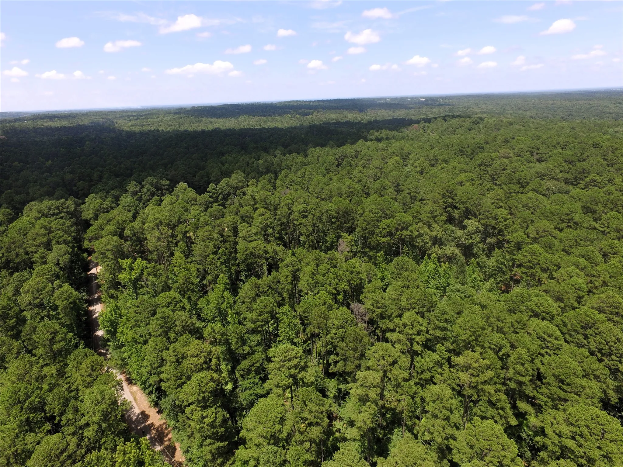 Unimproved Land For Sale in Wood County , Tbd private road 8565, Winnsboro, Texas 75494, 0, 0, Garage spaces, 0 Sqft, built in 0, mls#21306786, Real Estate Agent in Winnsboro, Homes For Sale in Wood county, Homes For Sale in Winnsboro, Realtor in Winnsboro Texas, Real Estate Brokerage Independent Realty Texas, Luminita Cordes Realtor