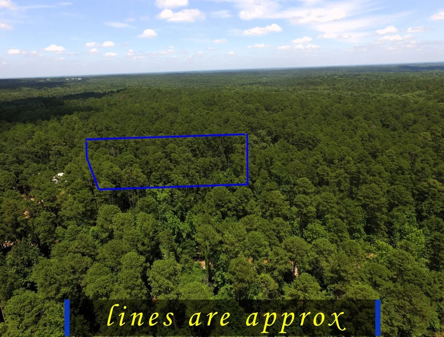 Unimproved Land For Sale in Wood County , Tbd private road 8565, Winnsboro, Texas 75494, 0, 0, Garage spaces, 0 Sqft, built in 0, mls#21306786, Real Estate Agent in Winnsboro, Homes For Sale in Wood county, Homes For Sale in Winnsboro, Realtor in Winnsboro Texas, Real Estate Brokerage Independent Realty Texas, Luminita Cordes Realtor