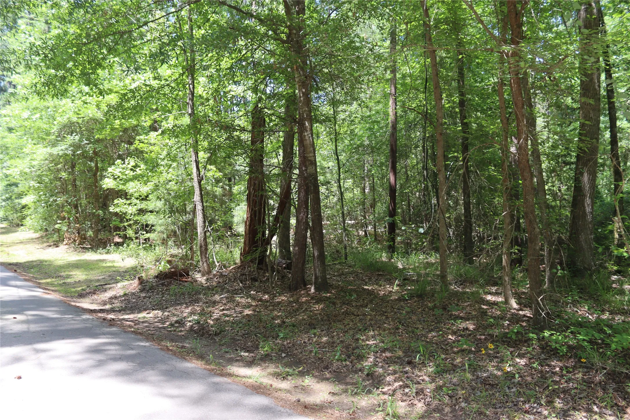 Unimproved Land For Sale in Wood County , Tbd private road 8565, Winnsboro, Texas 75494, 0, 0, Garage spaces, 0 Sqft, built in 0, mls#21306786, Real Estate Agent in Winnsboro, Homes For Sale in Wood county, Homes For Sale in Winnsboro, Realtor in Winnsboro Texas, Real Estate Brokerage Independent Realty Texas, Luminita Cordes Realtor