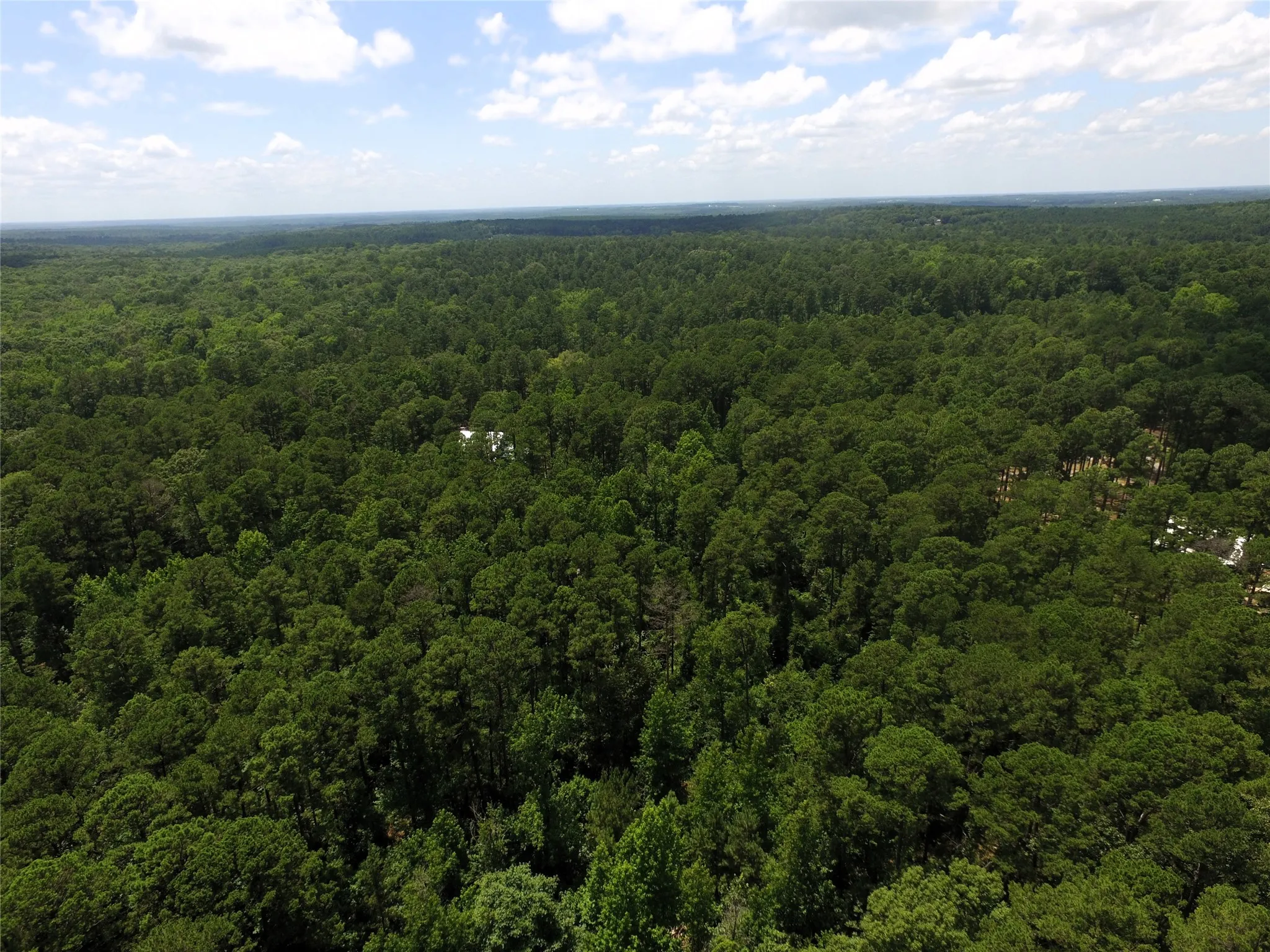 Unimproved Land For Sale in Wood County , Tbd private road 8565, Winnsboro, Texas 75494, 0, 0, Garage spaces, 0 Sqft, built in 0, mls#21306786, Real Estate Agent in Winnsboro, Homes For Sale in Wood county, Homes For Sale in Winnsboro, Realtor in Winnsboro Texas, Real Estate Brokerage Independent Realty Texas, Luminita Cordes Realtor