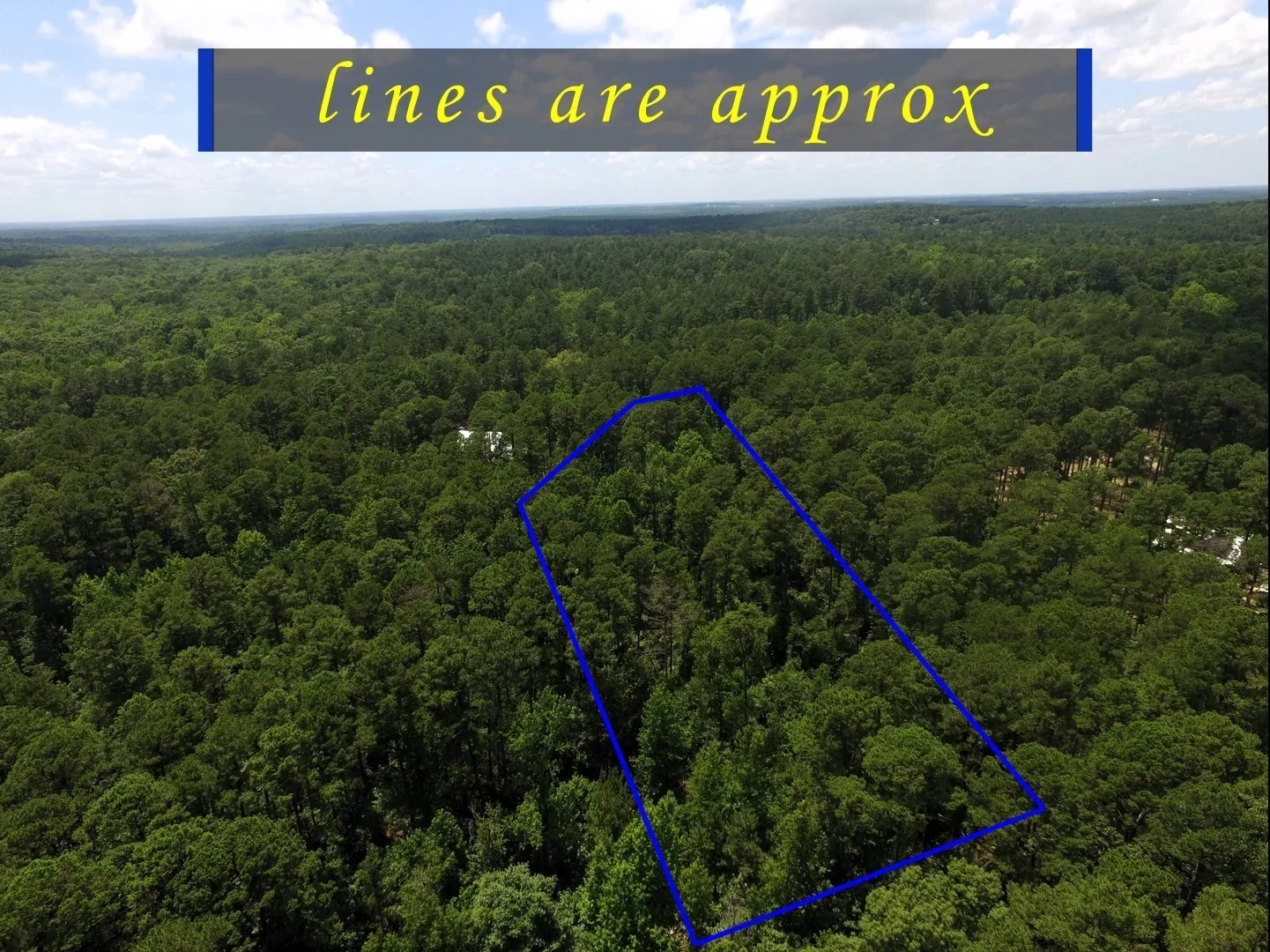 Unimproved Land For Sale in Wood County , Tbd private road 8565, Winnsboro, Texas 75494, 0, 0, Garage spaces, 0 Sqft, built in 0, mls#21306786, Real Estate Agent in Winnsboro, Homes For Sale in Wood county, Homes For Sale in Winnsboro, Realtor in Winnsboro Texas, Real Estate Brokerage Independent Realty Texas, Luminita Cordes Realtor