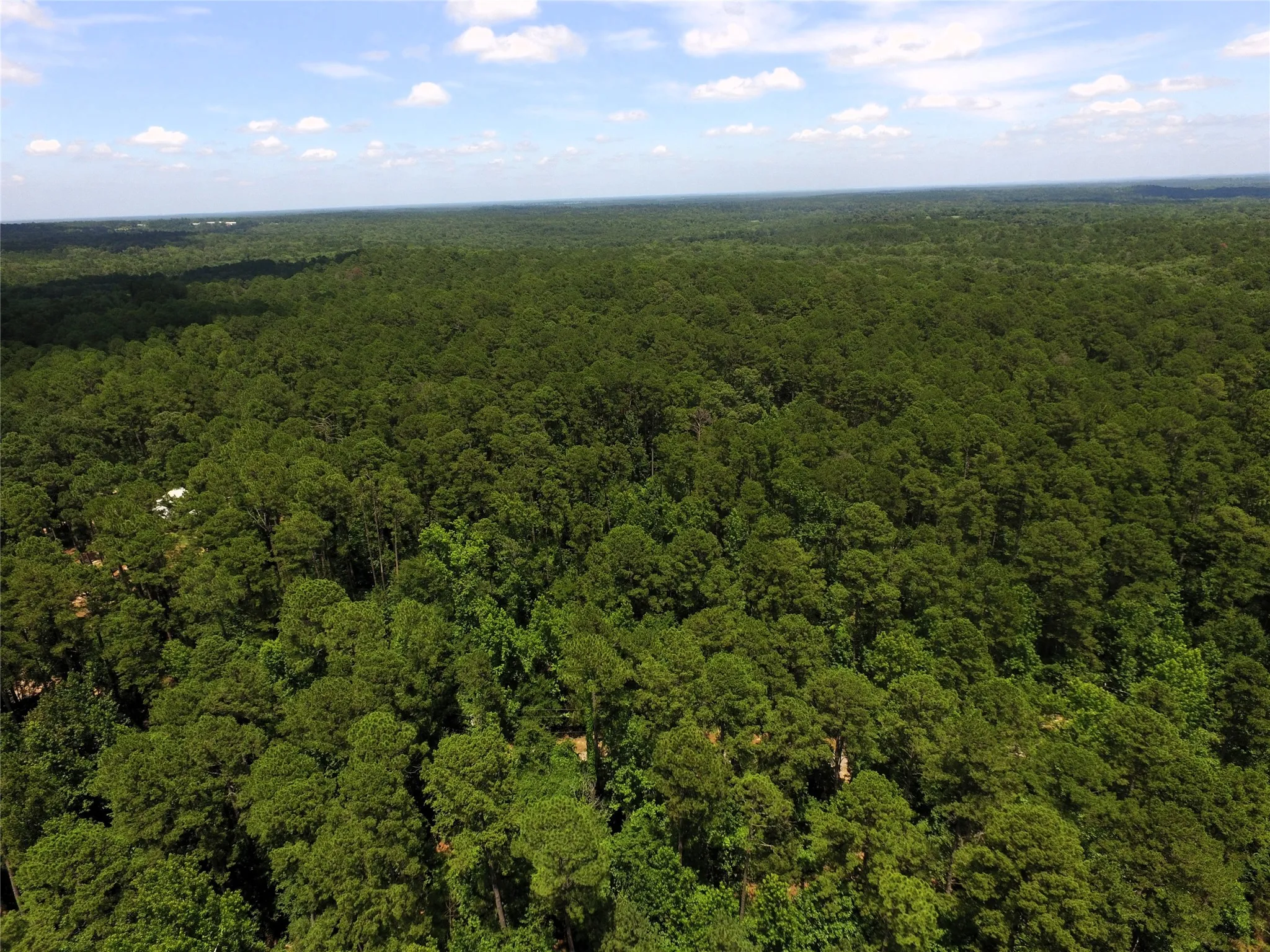 Unimproved Land For Sale in Wood County , Tbd private road 8565, Winnsboro, Texas 75494, 0, 0, Garage spaces, 0 Sqft, built in 0, mls#21306786, Real Estate Agent in Winnsboro, Homes For Sale in Wood county, Homes For Sale in Winnsboro, Realtor in Winnsboro Texas, Real Estate Brokerage Independent Realty Texas, Luminita Cordes Realtor