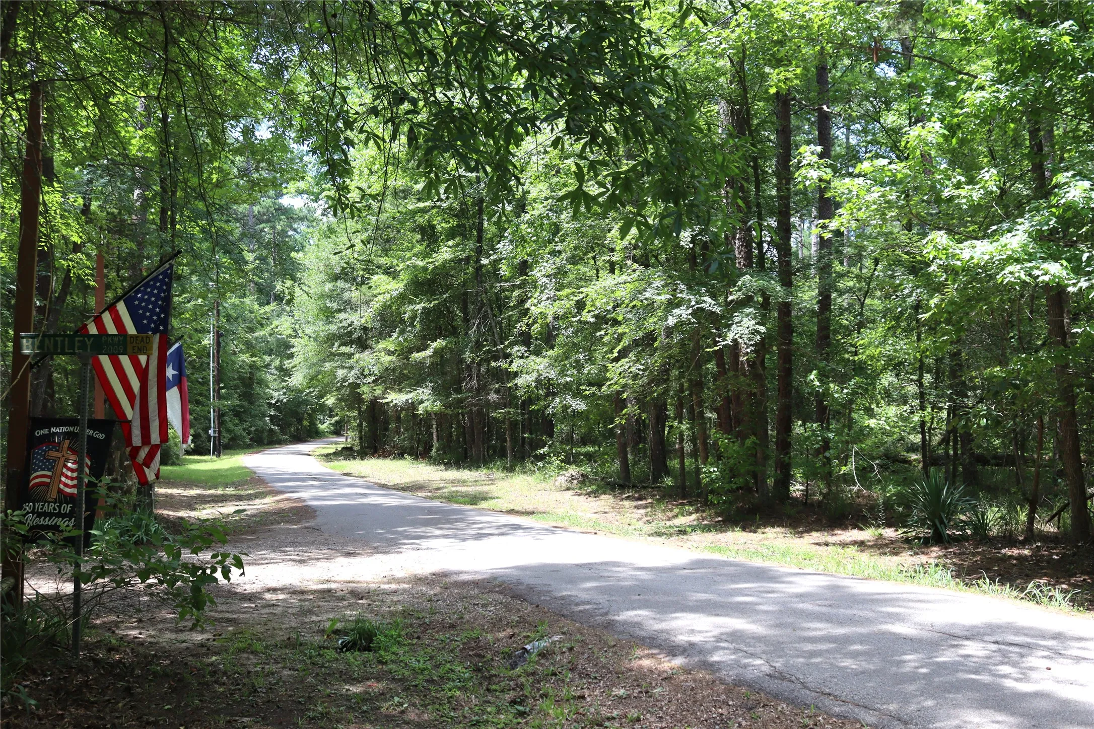 Unimproved Land For Sale in Wood County , Tbd private road 8565, Winnsboro, Texas 75494, 0, 0, Garage spaces, 0 Sqft, built in 0, mls#21306786, Real Estate Agent in Winnsboro, Homes For Sale in Wood county, Homes For Sale in Winnsboro, Realtor in Winnsboro Texas, Real Estate Brokerage Independent Realty Texas, Luminita Cordes Realtor