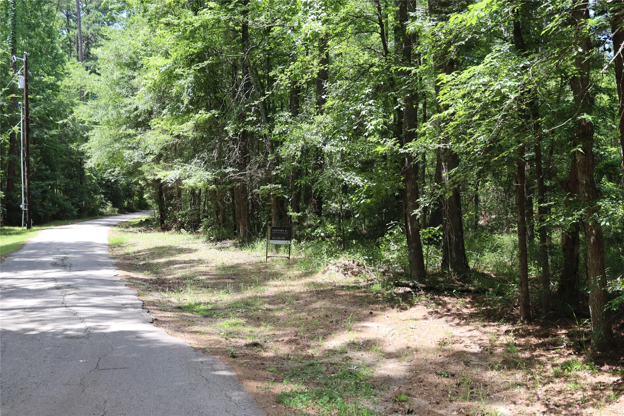 Unimproved Land For Sale in Wood County , Tbd private road 8565, Winnsboro, Texas 75494, 0, 0, Garage spaces, 0 Sqft, built in 0, mls#21306786, Real Estate Agent in Winnsboro, Homes For Sale in Wood county, Homes For Sale in Winnsboro, Realtor in Winnsboro Texas, Real Estate Brokerage Independent Realty Texas, Luminita Cordes Realtor