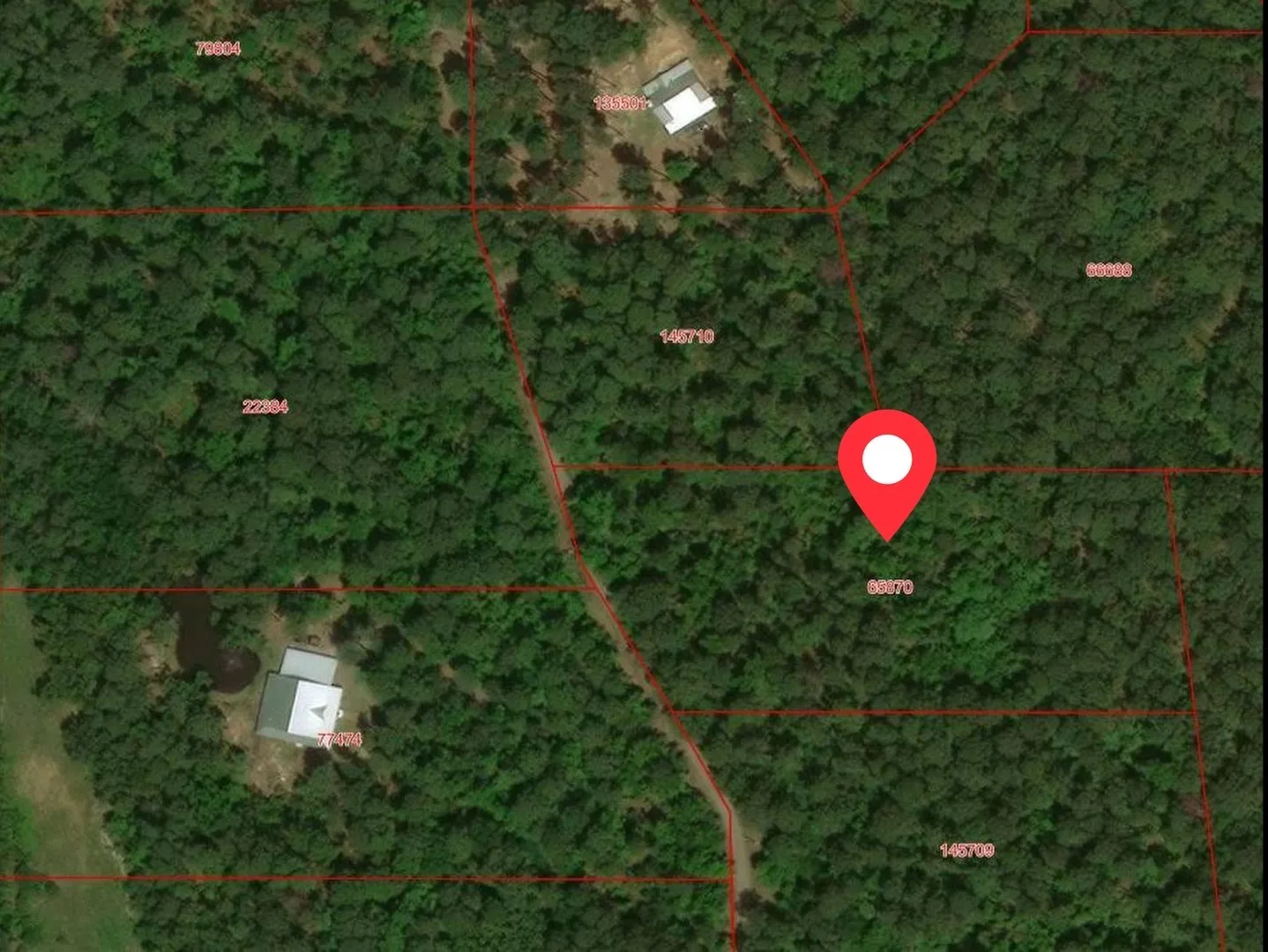 Unimproved Land For Sale in Wood County , Tbd private road 8565, Winnsboro, Texas 75494, 0, 0, Garage spaces, 0 Sqft, built in 0, mls#21306786, Real Estate Agent in Winnsboro, Homes For Sale in Wood county, Homes For Sale in Winnsboro, Realtor in Winnsboro Texas, Real Estate Brokerage Independent Realty Texas, Luminita Cordes Realtor