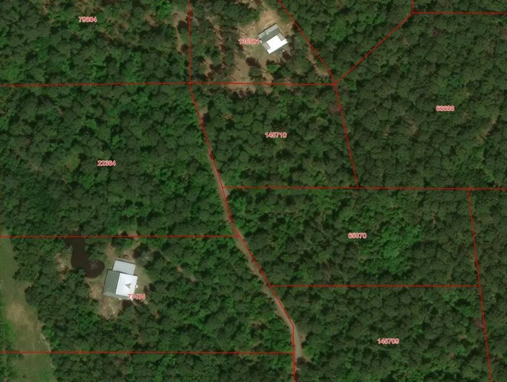 Unimproved Land For Sale in Wood County , Tbd private road 8565, Winnsboro, Texas 75494, 0, 0, Garage spaces, 0 Sqft, built in 0, mls#21306786, Real Estate Agent in Winnsboro, Homes For Sale in Wood county, Homes For Sale in Winnsboro, Realtor in Winnsboro Texas, Real Estate Brokerage Independent Realty Texas, Luminita Cordes Realtor