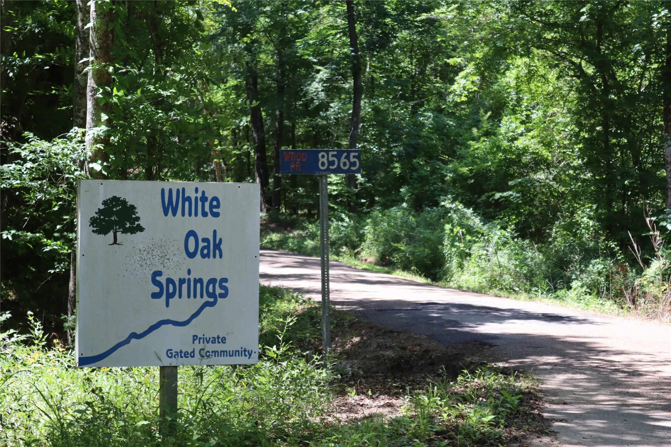 Unimproved Land For Sale in Wood County , Tbd private road 8565, Winnsboro, Texas 75494, 0, 0, Garage spaces, 0 Sqft, built in 0, mls#21306786, Real Estate Agent in Winnsboro, Homes For Sale in Wood county, Homes For Sale in Winnsboro, Realtor in Winnsboro Texas, Real Estate Brokerage Independent Realty Texas, Luminita Cordes Realtor