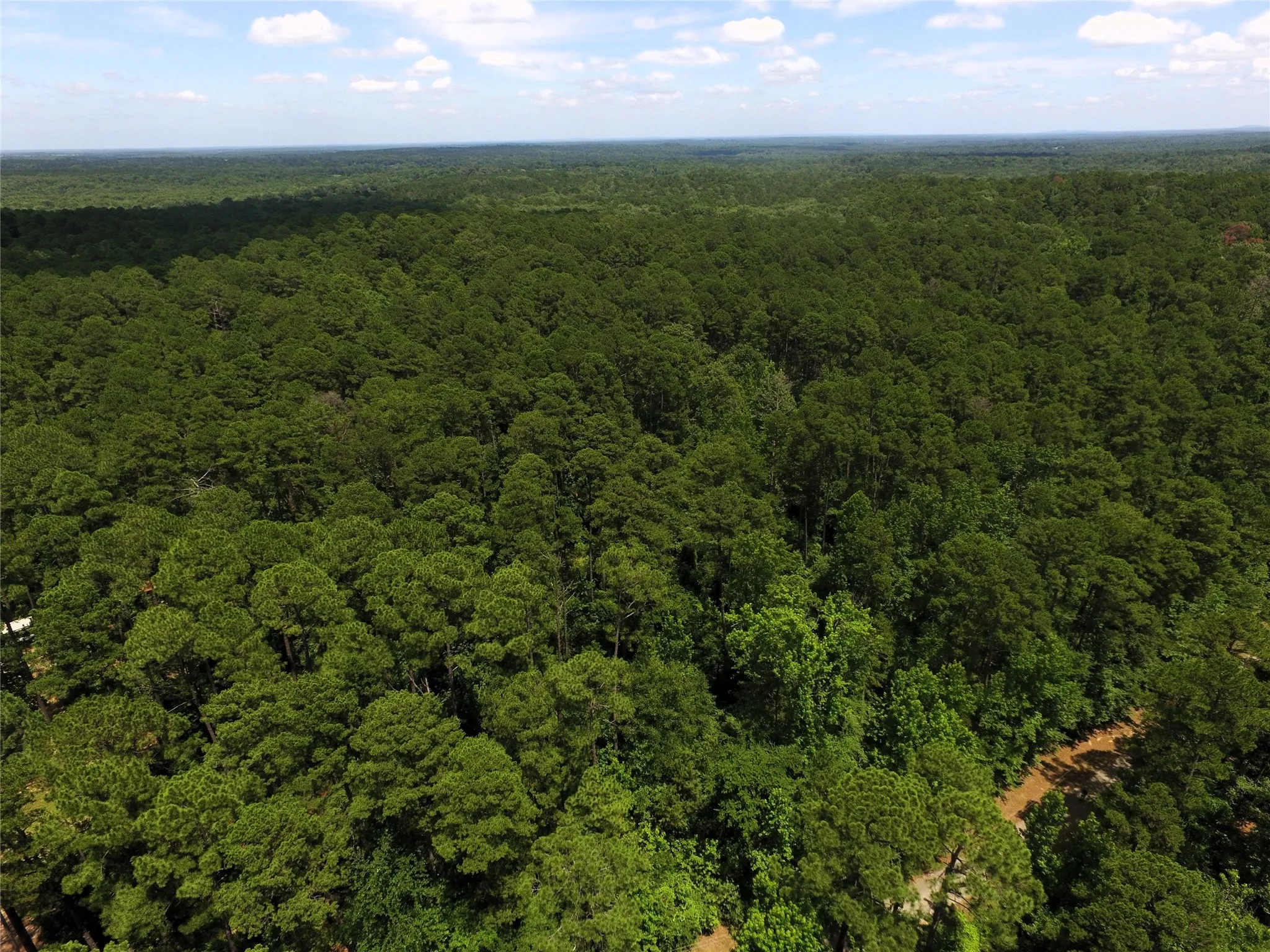 Unimproved Land For Sale in Wood County , Tbd private road 8565, Winnsboro, Texas 75494, 0, 0, Garage spaces, 0 Sqft, built in 0, mls#21306786, Real Estate Agent in Winnsboro, Homes For Sale in Wood county, Homes For Sale in Winnsboro, Realtor in Winnsboro Texas, Real Estate Brokerage Independent Realty Texas, Luminita Cordes Realtor
