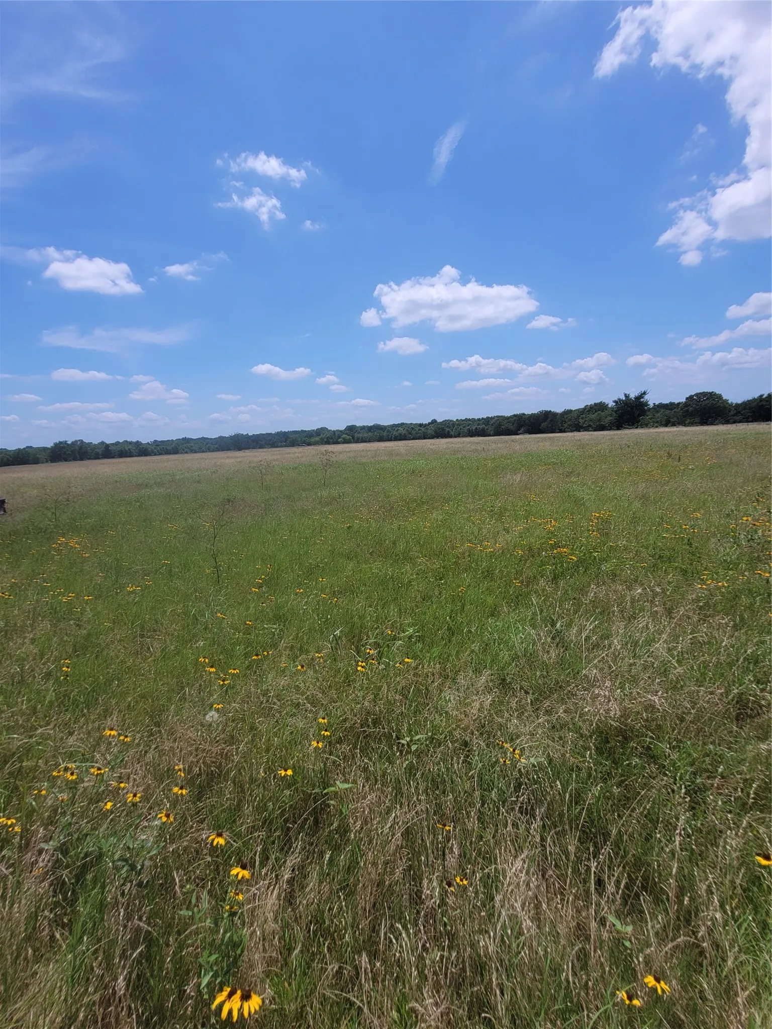 Improved Land For Sale in Hopkins County , 2441 County Road 3512, Dike, Texas 75437, 0, 0, Garage spaces, 0 Sqft, built in 0, mls#21306856, Real Estate Agent in Dike, Homes For Sale in Hopkins county, Homes For Sale in Dike, Realtor in Dike Texas, Real Estate Brokerage Independent Realty Texas, Luminita Cordes Realtor