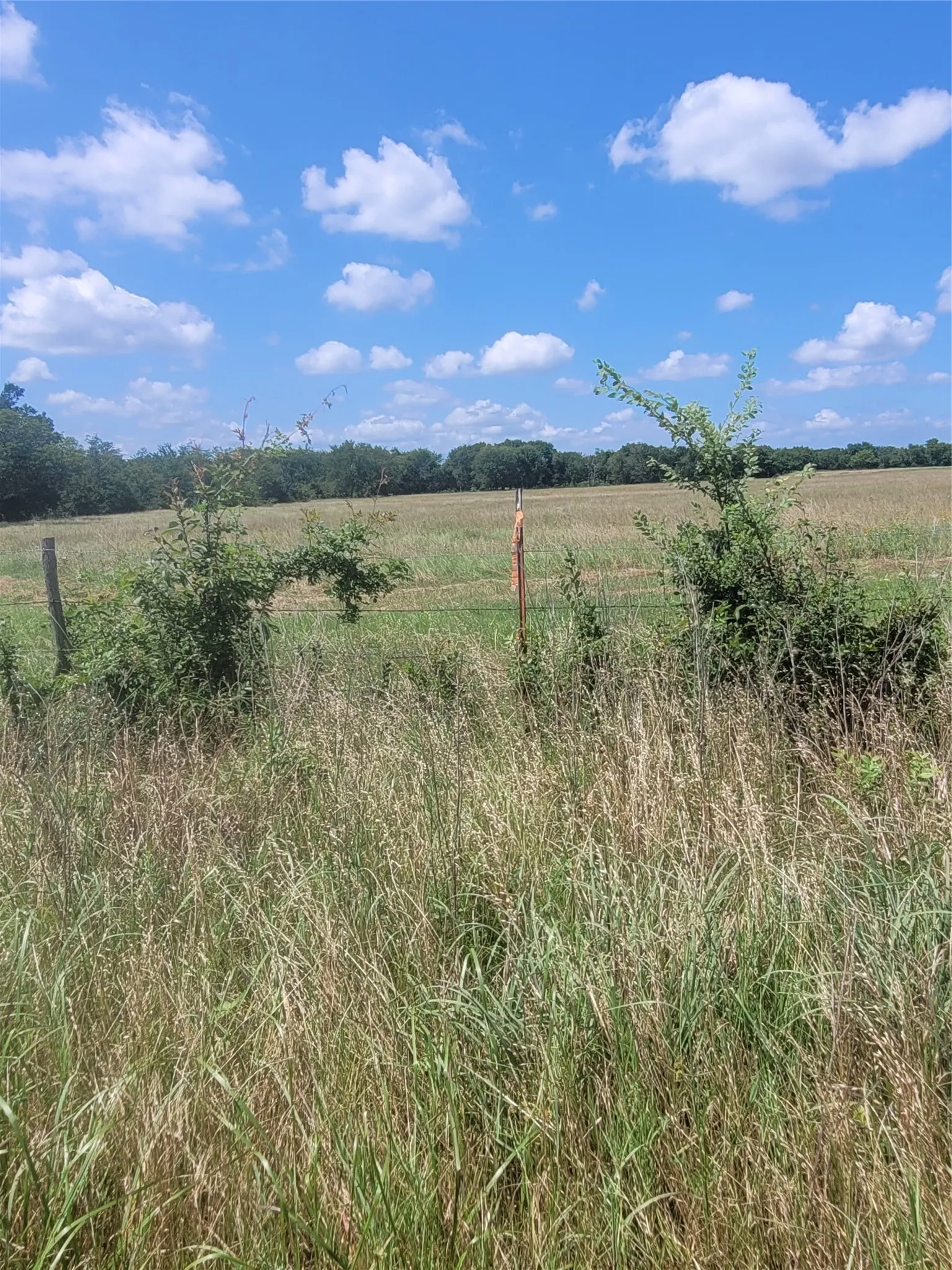 Improved Land For Sale in Hopkins County , 2441 County Road 3512, Dike, Texas 75437, 0, 0, Garage spaces, 0 Sqft, built in 0, mls#21306856, Real Estate Agent in Dike, Homes For Sale in Hopkins county, Homes For Sale in Dike, Realtor in Dike Texas, Real Estate Brokerage Independent Realty Texas, Luminita Cordes Realtor