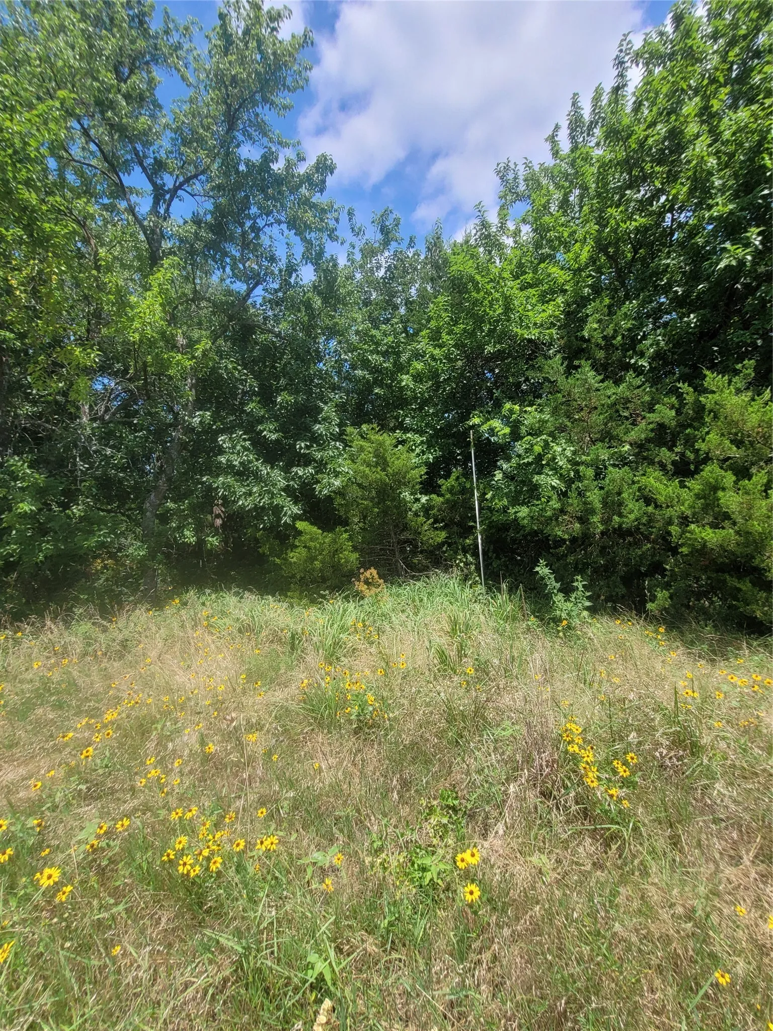 Improved Land For Sale in Hopkins County , 2441 County Road 3512, Dike, Texas 75437, 0, 0, Garage spaces, 0 Sqft, built in 0, mls#21306856, Real Estate Agent in Dike, Homes For Sale in Hopkins county, Homes For Sale in Dike, Realtor in Dike Texas, Real Estate Brokerage Independent Realty Texas, Luminita Cordes Realtor