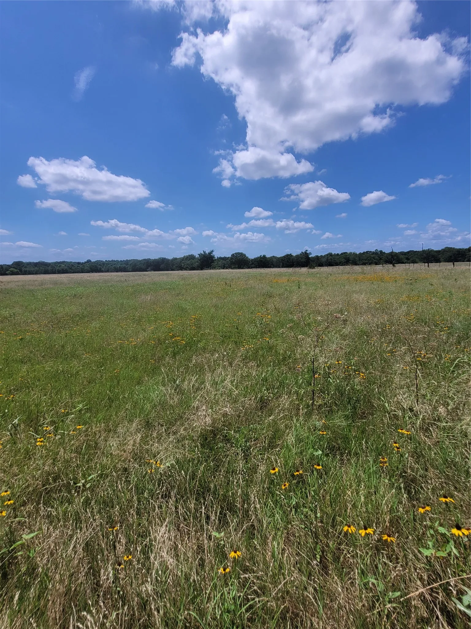 Improved Land For Sale in Hopkins County , 2441 County Road 3512, Dike, Texas 75437, 0, 0, Garage spaces, 0 Sqft, built in 0, mls#21306856, Real Estate Agent in Dike, Homes For Sale in Hopkins county, Homes For Sale in Dike, Realtor in Dike Texas, Real Estate Brokerage Independent Realty Texas, Luminita Cordes Realtor