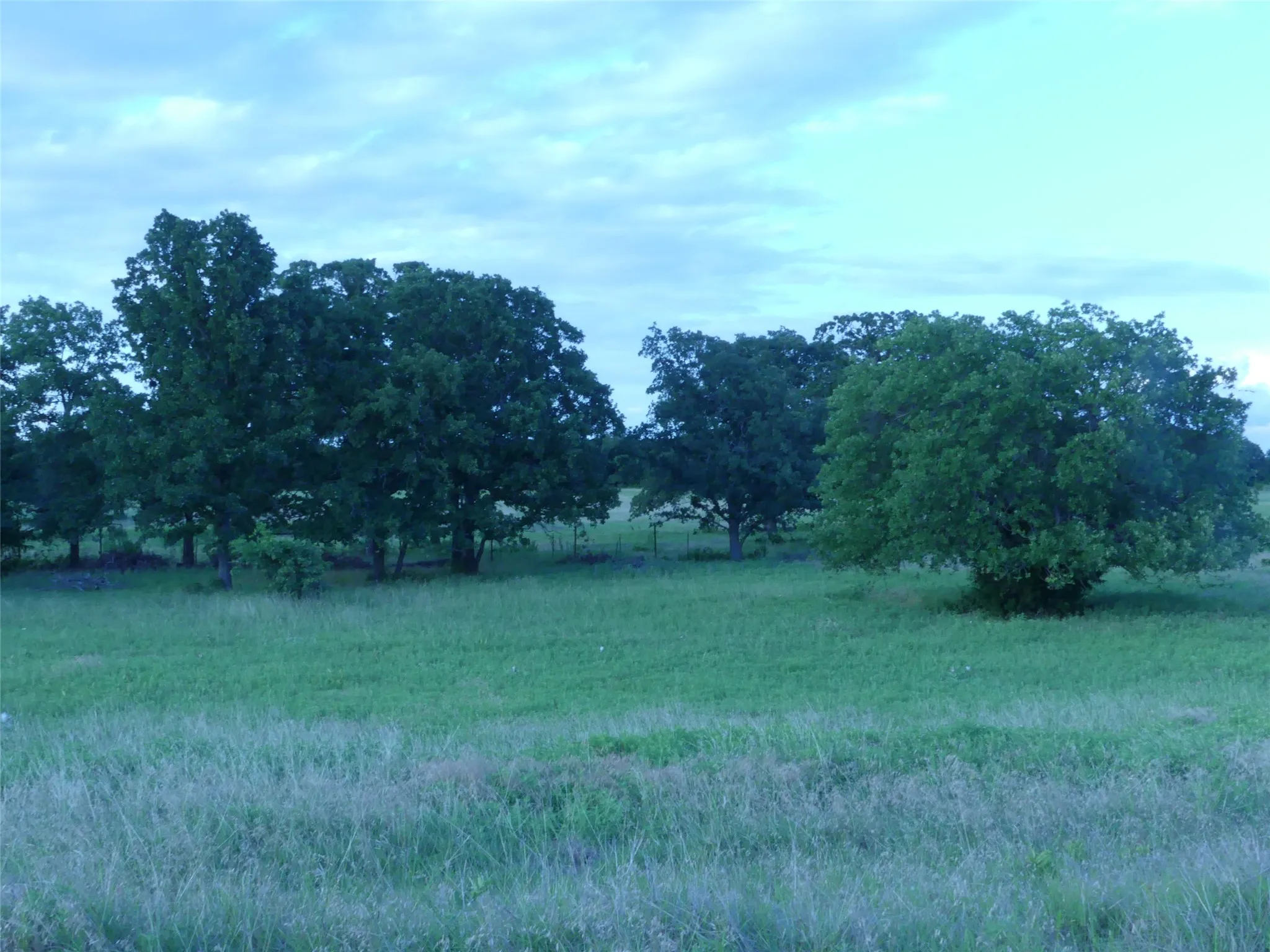 Improved Land For Sale in Montague County , 644 Macs Grocery Road, Bowie, Texas 76230, 0, 0, Garage spaces, 0 Sqft, built in 1991, Price $1,242,600, mls#21306863, Real Estate Agent in Bowie, Homes For Sale in Montague county, Homes For Sale in Bowie, Realtor in Bowie Texas, Real Estate Brokerage Independent Realty Texas, Luminita Cordes Realtor
