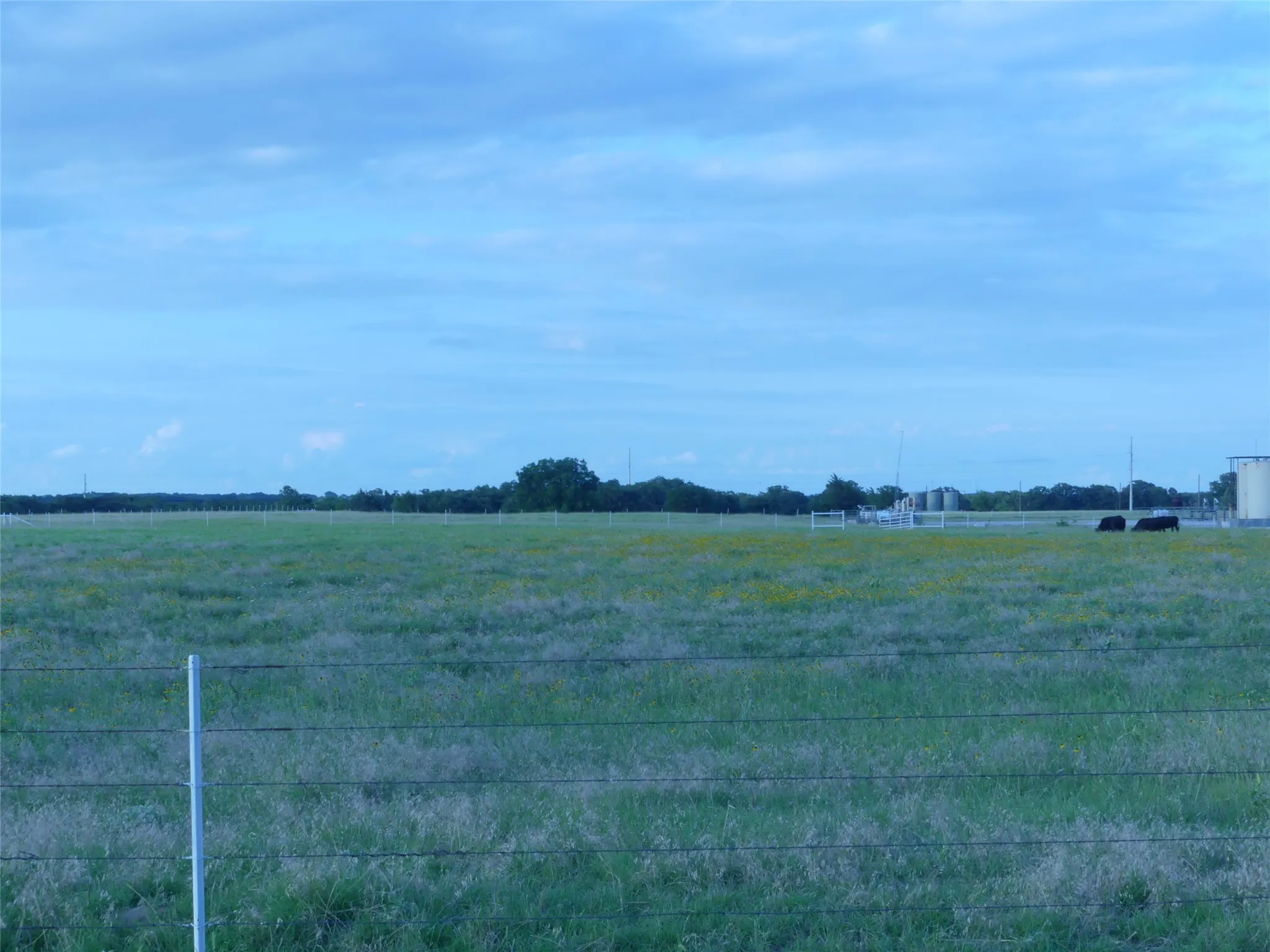Improved Land For Sale in Montague County , 644 Macs Grocery Road, Bowie, Texas 76230, 0, 0, Garage spaces, 0 Sqft, built in 1991, Price $1,242,600, mls#21306863, Real Estate Agent in Bowie, Homes For Sale in Montague county, Homes For Sale in Bowie, Realtor in Bowie Texas, Real Estate Brokerage Independent Realty Texas, Luminita Cordes Realtor