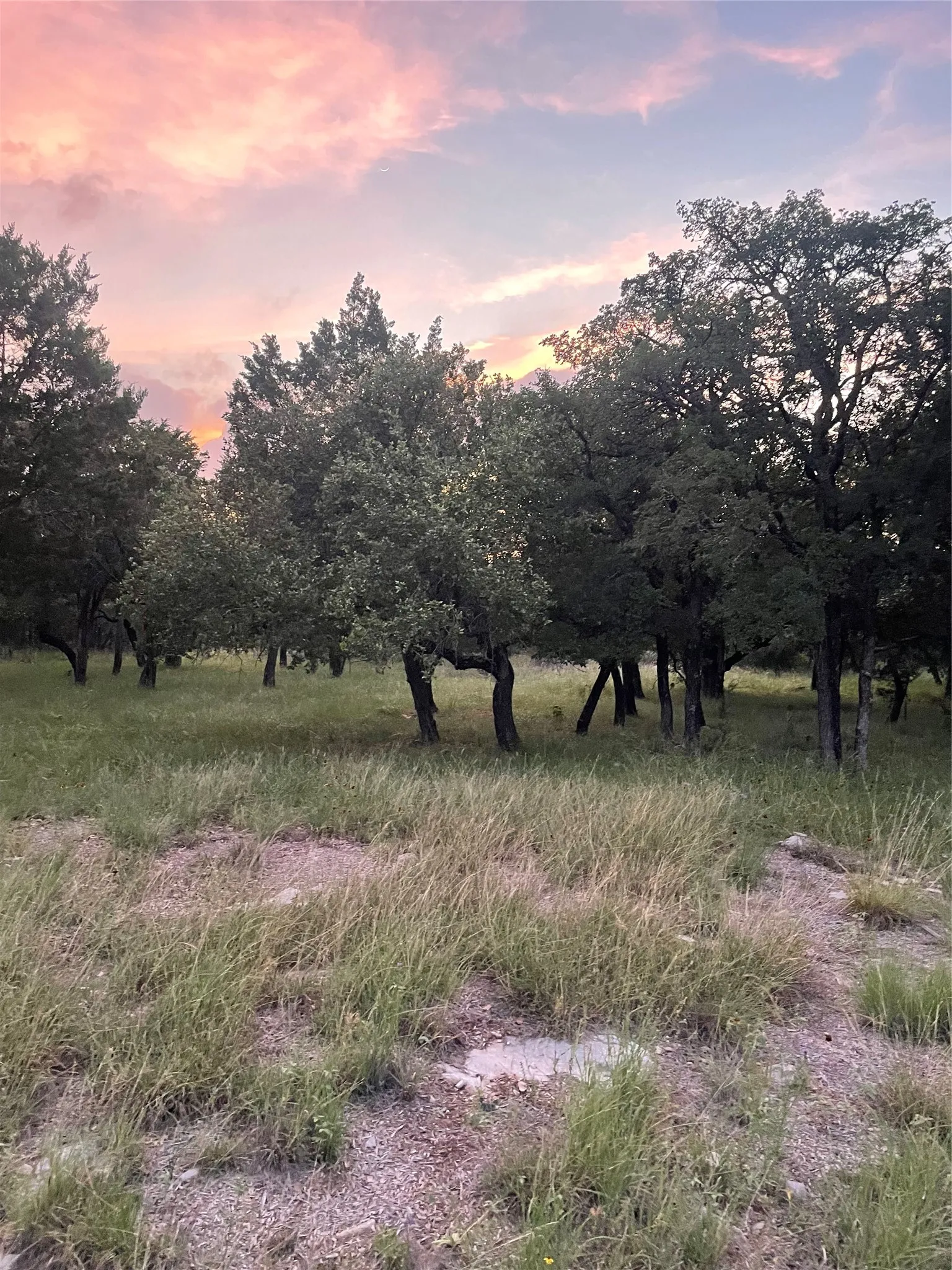 Unimproved Land For Sale in Burnet County , Lot K14012 Mountain Dew, Horseshoe Bay, Texas 78657, 0, 0, Garage spaces, 0 Sqft, built in 0, mls#21305566, Real Estate Agent in Horseshoe Bay, Homes For Sale in Burnet county, Homes For Sale in Horseshoe Bay, Realtor in Horseshoe Bay Texas, Real Estate Brokerage Independent Realty Texas, Luminita Cordes Realtor