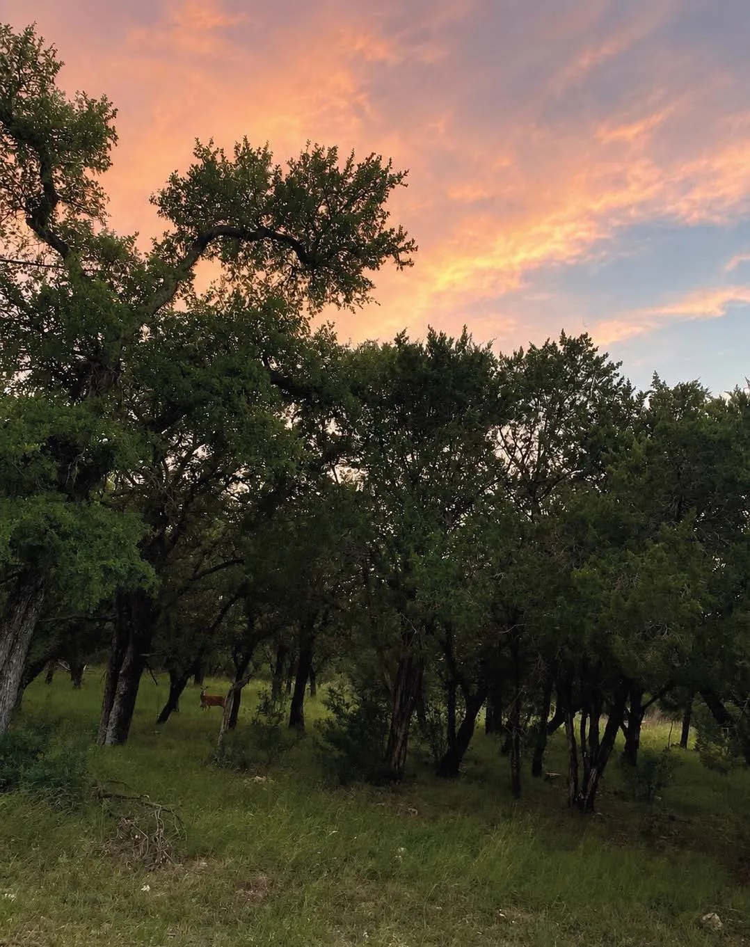 Unimproved Land For Sale in Burnet County , Lot K14012 Mountain Dew, Horseshoe Bay, Texas 78657, 0, 0, Garage spaces, 0 Sqft, built in 0, mls#21305566, Real Estate Agent in Horseshoe Bay, Homes For Sale in Burnet county, Homes For Sale in Horseshoe Bay, Realtor in Horseshoe Bay Texas, Real Estate Brokerage Independent Realty Texas, Luminita Cordes Realtor