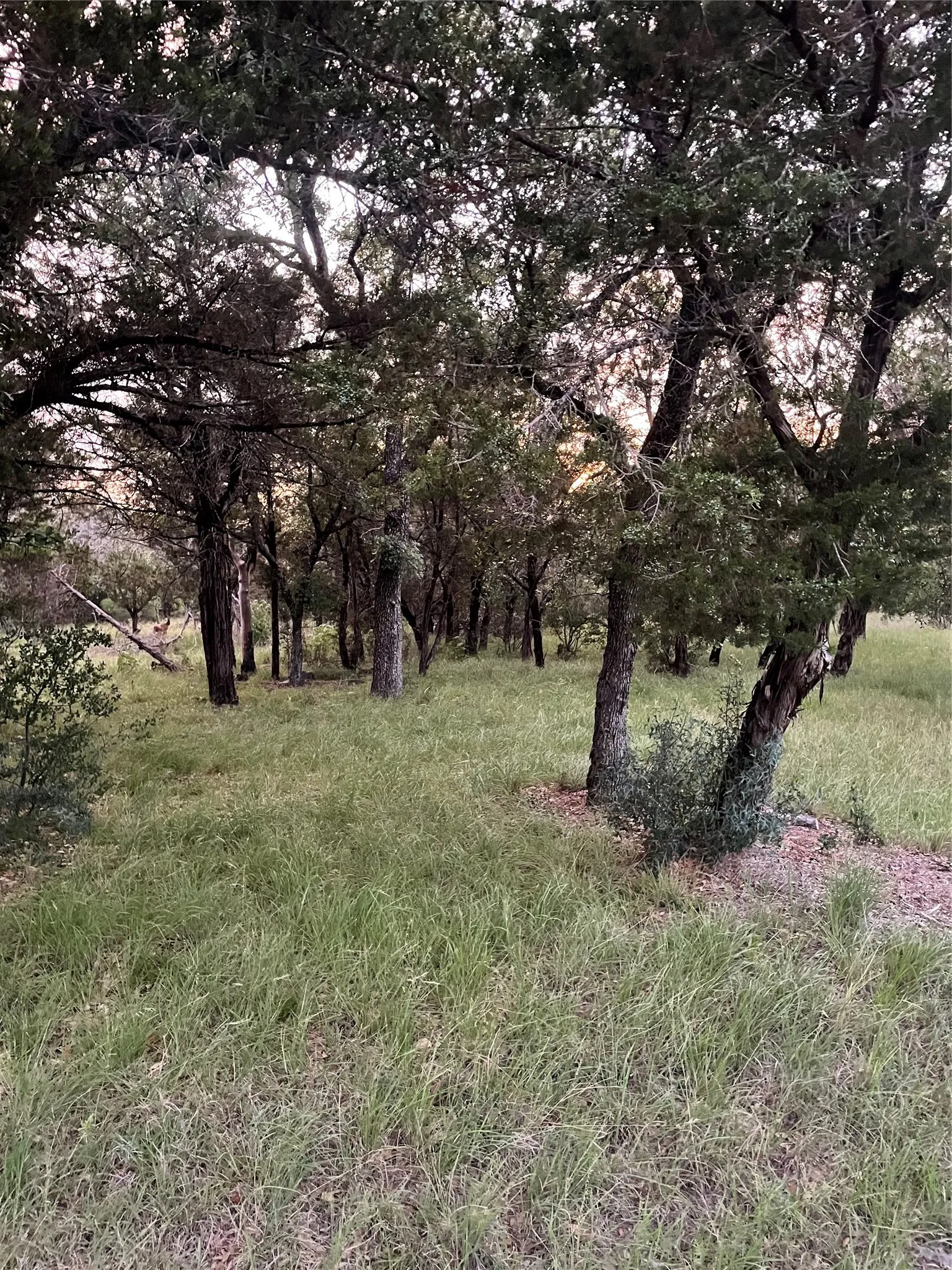 Unimproved Land For Sale in Burnet County , Lot K14012 Mountain Dew, Horseshoe Bay, Texas 78657, 0, 0, Garage spaces, 0 Sqft, built in 0, mls#21305566, Real Estate Agent in Horseshoe Bay, Homes For Sale in Burnet county, Homes For Sale in Horseshoe Bay, Realtor in Horseshoe Bay Texas, Real Estate Brokerage Independent Realty Texas, Luminita Cordes Realtor