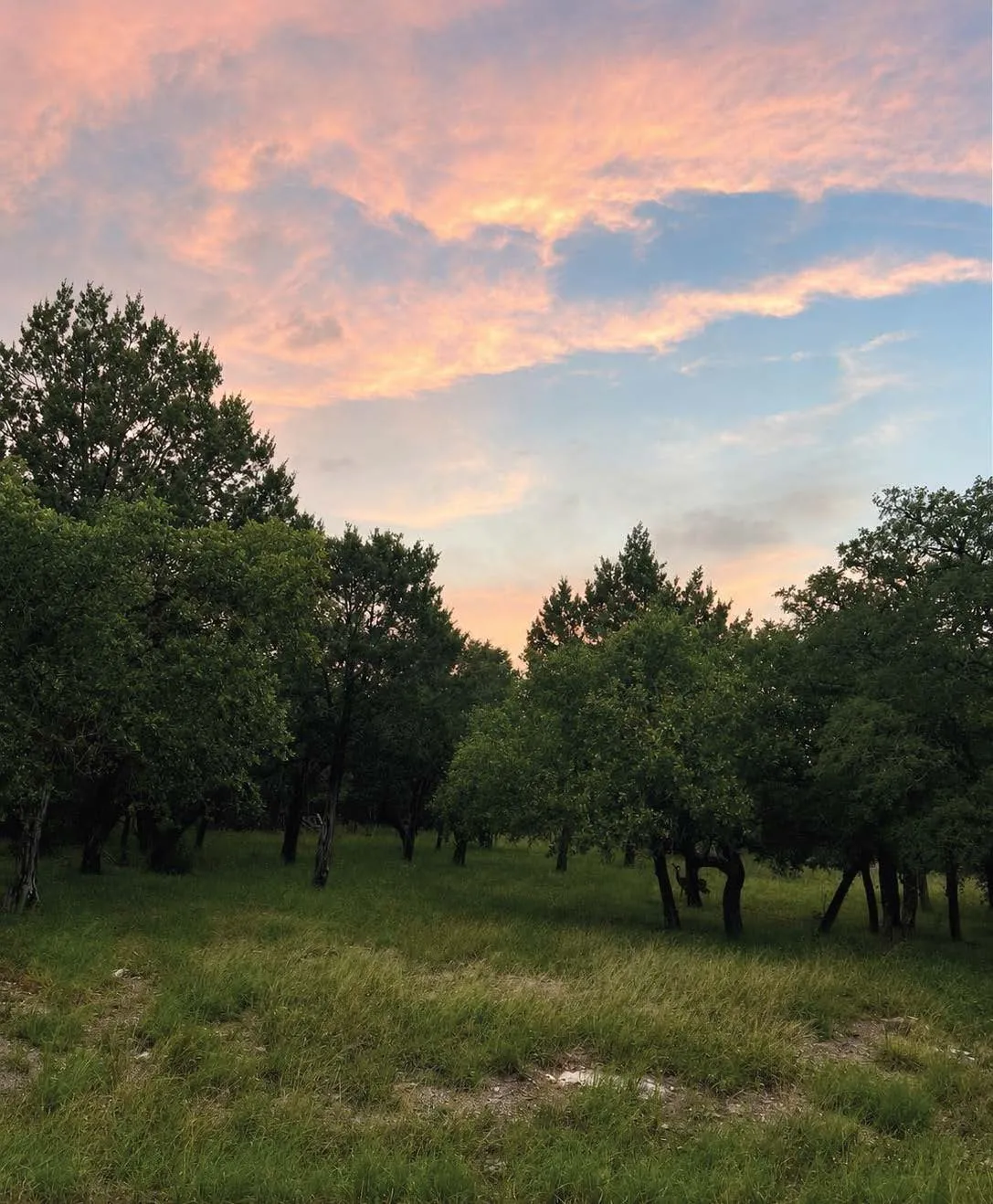 Unimproved Land For Sale in Burnet County , Lot K14012 Mountain Dew, Horseshoe Bay, Texas 78657, 0, 0, Garage spaces, 0 Sqft, built in 0, mls#21305566, Real Estate Agent in Horseshoe Bay, Homes For Sale in Burnet county, Homes For Sale in Horseshoe Bay, Realtor in Horseshoe Bay Texas, Real Estate Brokerage Independent Realty Texas, Luminita Cordes Realtor
