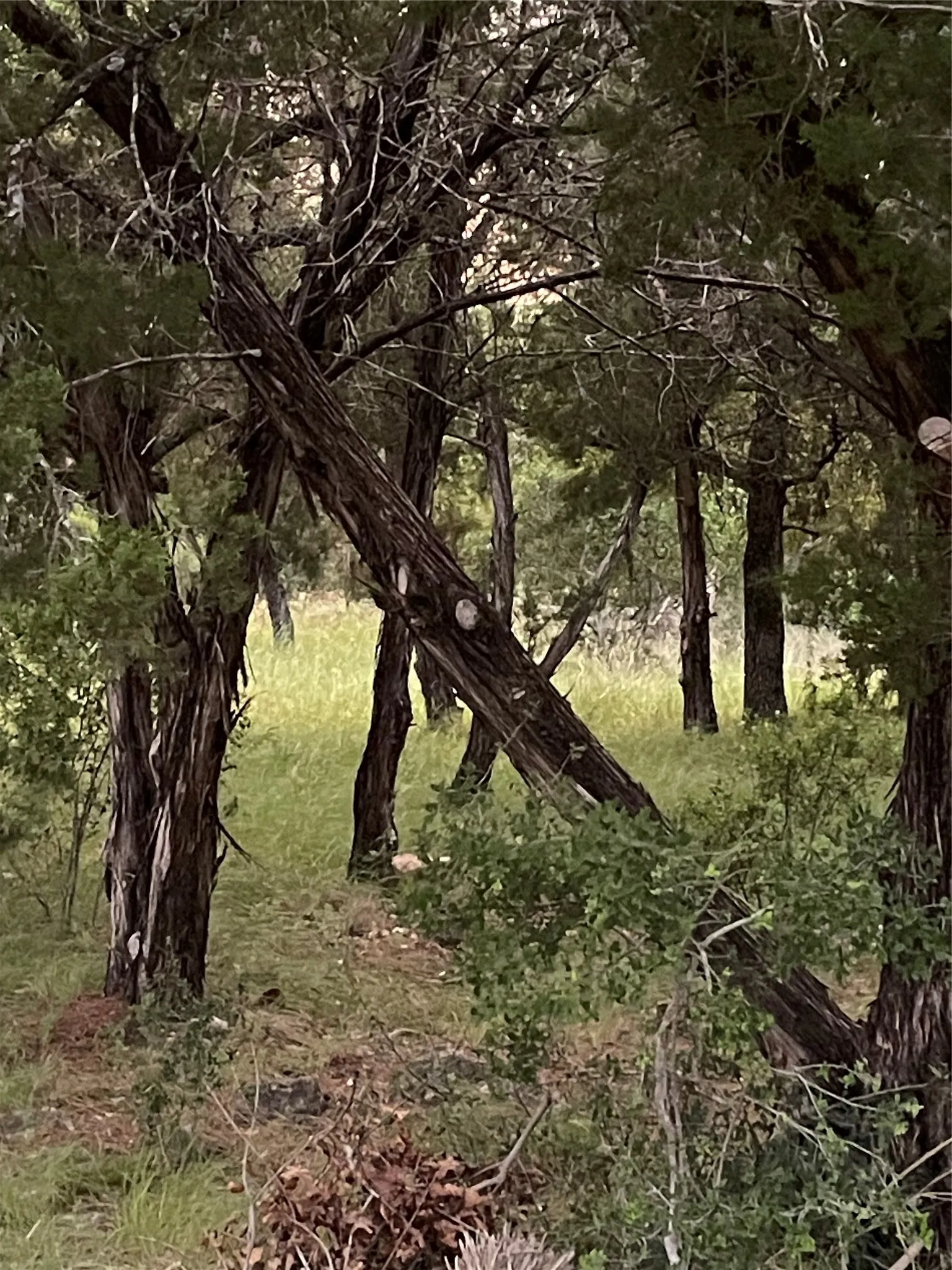 Unimproved Land For Sale in Burnet County , Lot K14012 Mountain Dew, Horseshoe Bay, Texas 78657, 0, 0, Garage spaces, 0 Sqft, built in 0, mls#21305566, Real Estate Agent in Horseshoe Bay, Homes For Sale in Burnet county, Homes For Sale in Horseshoe Bay, Realtor in Horseshoe Bay Texas, Real Estate Brokerage Independent Realty Texas, Luminita Cordes Realtor