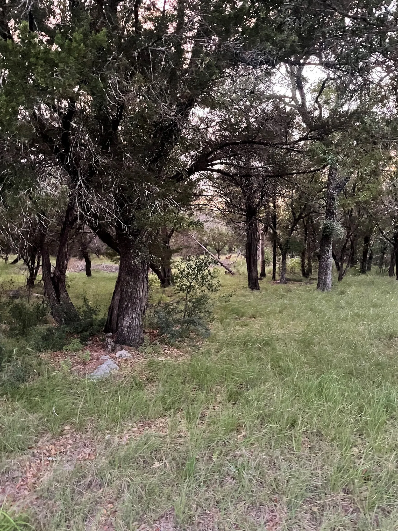 Unimproved Land For Sale in Burnet County , Lot K14011 Mountain Dew, Horseshoe Bay, Texas 78657, 0, 0, Garage spaces, 0 Sqft, built in 0, Price $29,000, mls#21305565, Real Estate Agent in Horseshoe Bay, Homes For Sale in Burnet county, Homes For Sale in Horseshoe Bay, Realtor in Horseshoe Bay Texas, Real Estate Brokerage Independent Realty Texas, Luminita Cordes Realtor