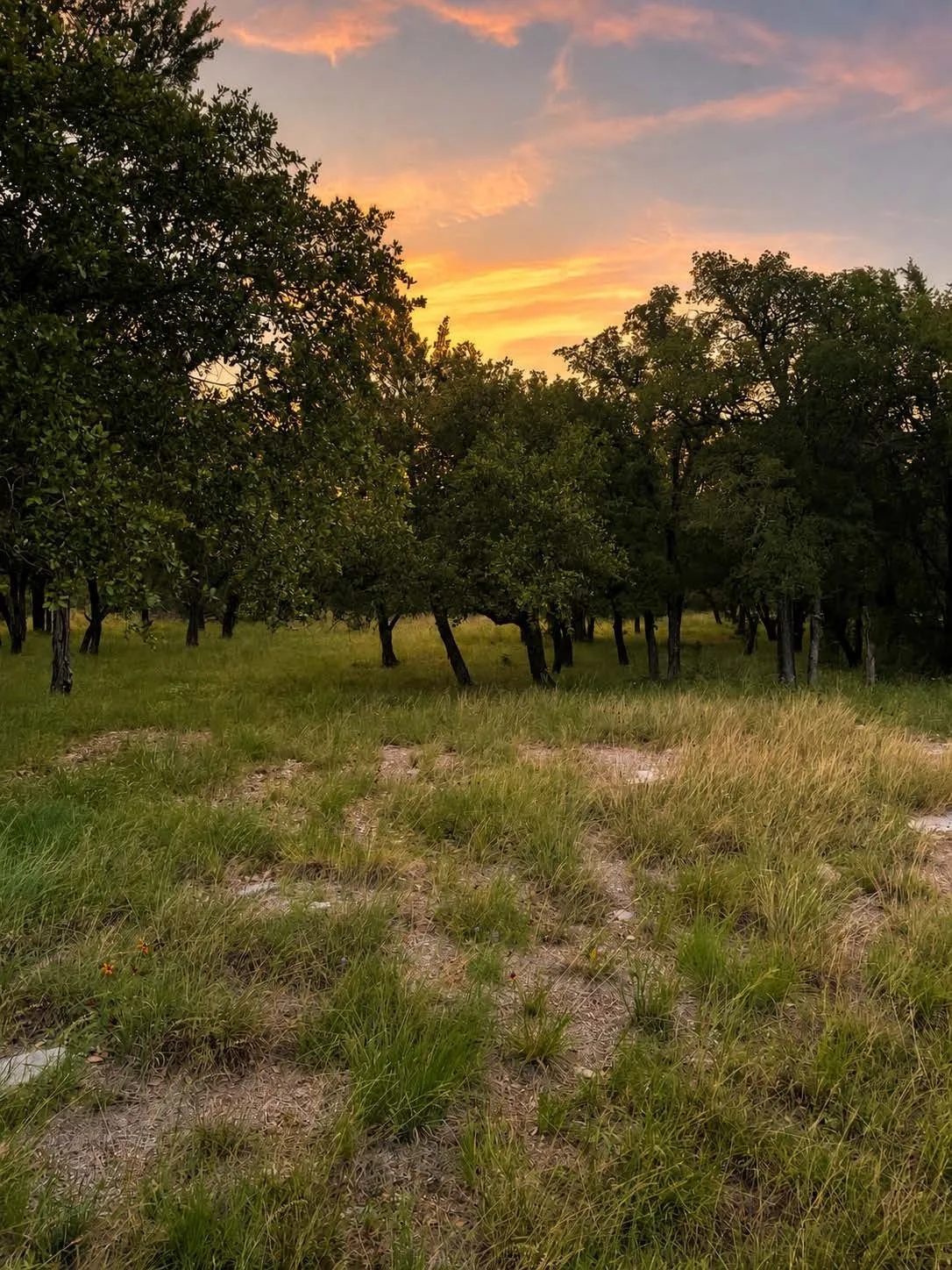 Unimproved Land For Sale in Burnet County , Lot K14011 Mountain Dew, Horseshoe Bay, Texas 78657, 0, 0, Garage spaces, 0 Sqft, built in 0, Price $29,000, mls#21305565, Real Estate Agent in Horseshoe Bay, Homes For Sale in Burnet county, Homes For Sale in Horseshoe Bay, Realtor in Horseshoe Bay Texas, Real Estate Brokerage Independent Realty Texas, Luminita Cordes Realtor