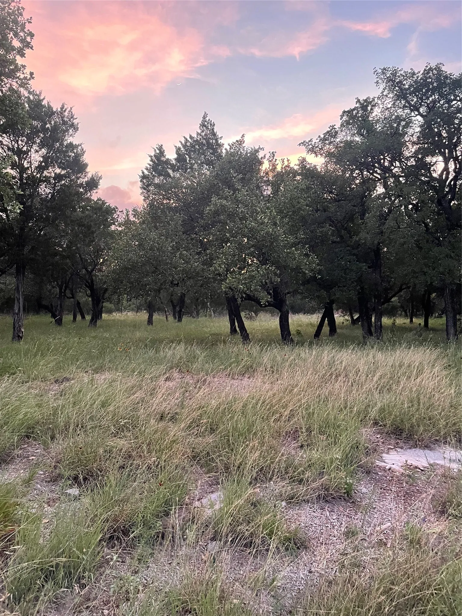 Unimproved Land For Sale in Burnet County , Lot K14011 Mountain Dew, Horseshoe Bay, Texas 78657, 0, 0, Garage spaces, 0 Sqft, built in 0, Price $29,000, mls#21305565, Real Estate Agent in Horseshoe Bay, Homes For Sale in Burnet county, Homes For Sale in Horseshoe Bay, Realtor in Horseshoe Bay Texas, Real Estate Brokerage Independent Realty Texas, Luminita Cordes Realtor