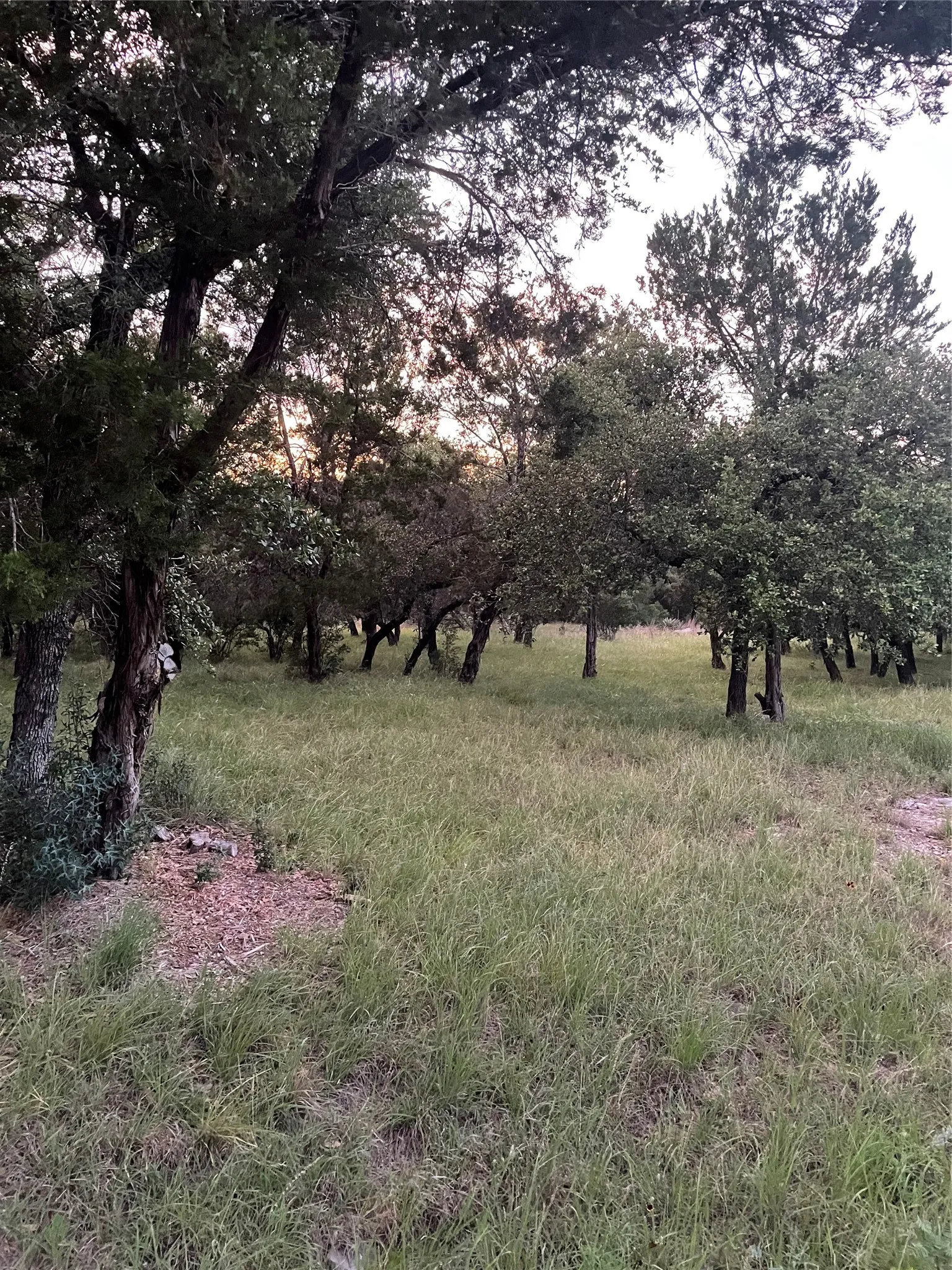 Unimproved Land For Sale in Burnet County , Lot K14011 Mountain Dew, Horseshoe Bay, Texas 78657, 0, 0, Garage spaces, 0 Sqft, built in 0, Price $29,000, mls#21305565, Real Estate Agent in Horseshoe Bay, Homes For Sale in Burnet county, Homes For Sale in Horseshoe Bay, Realtor in Horseshoe Bay Texas, Real Estate Brokerage Independent Realty Texas, Luminita Cordes Realtor