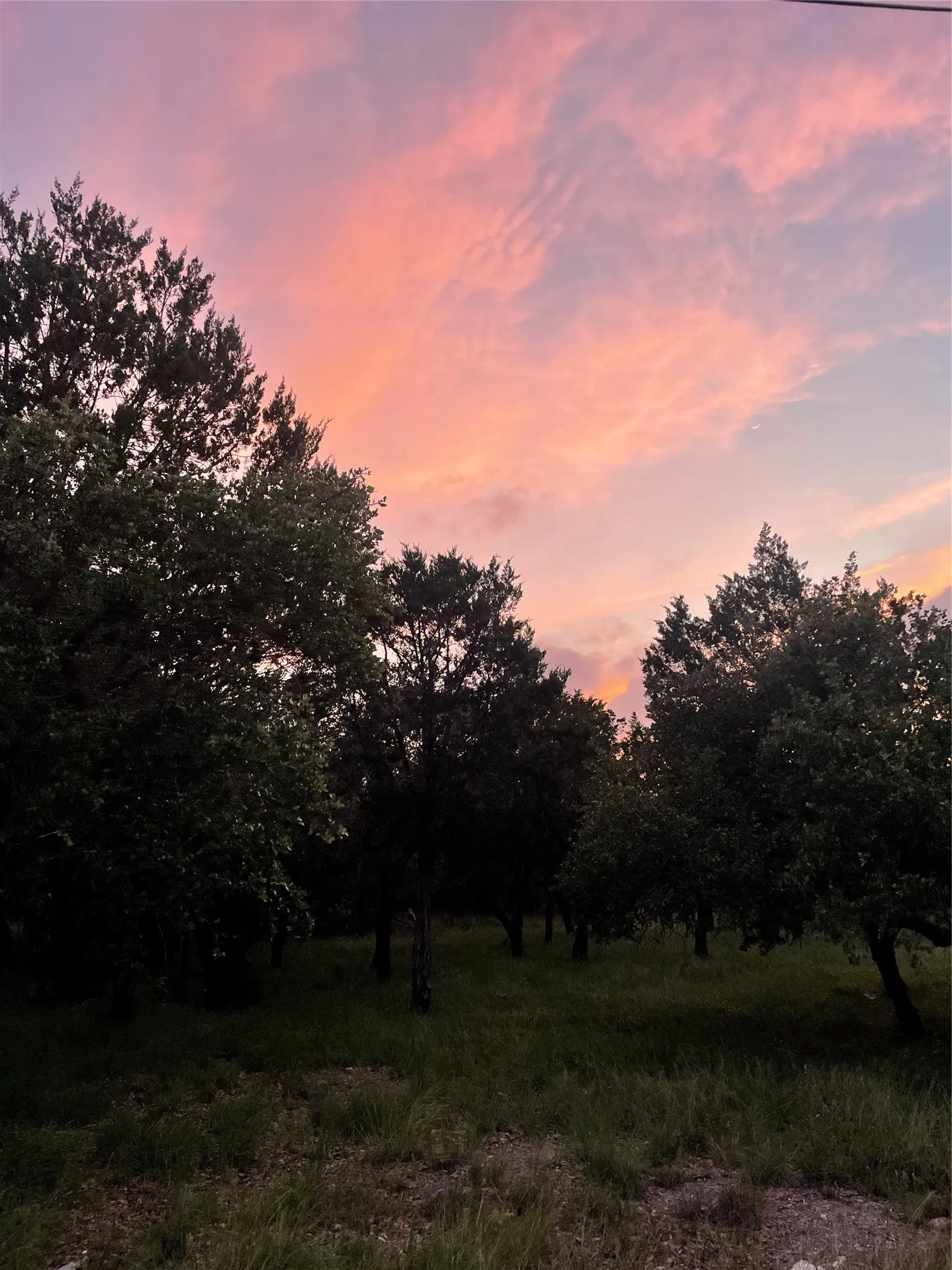Unimproved Land For Sale in Burnet County , Lot K14011 Mountain Dew, Horseshoe Bay, Texas 78657, 0, 0, Garage spaces, 0 Sqft, built in 0, Price $29,000, mls#21305565, Real Estate Agent in Horseshoe Bay, Homes For Sale in Burnet county, Homes For Sale in Horseshoe Bay, Realtor in Horseshoe Bay Texas, Real Estate Brokerage Independent Realty Texas, Luminita Cordes Realtor