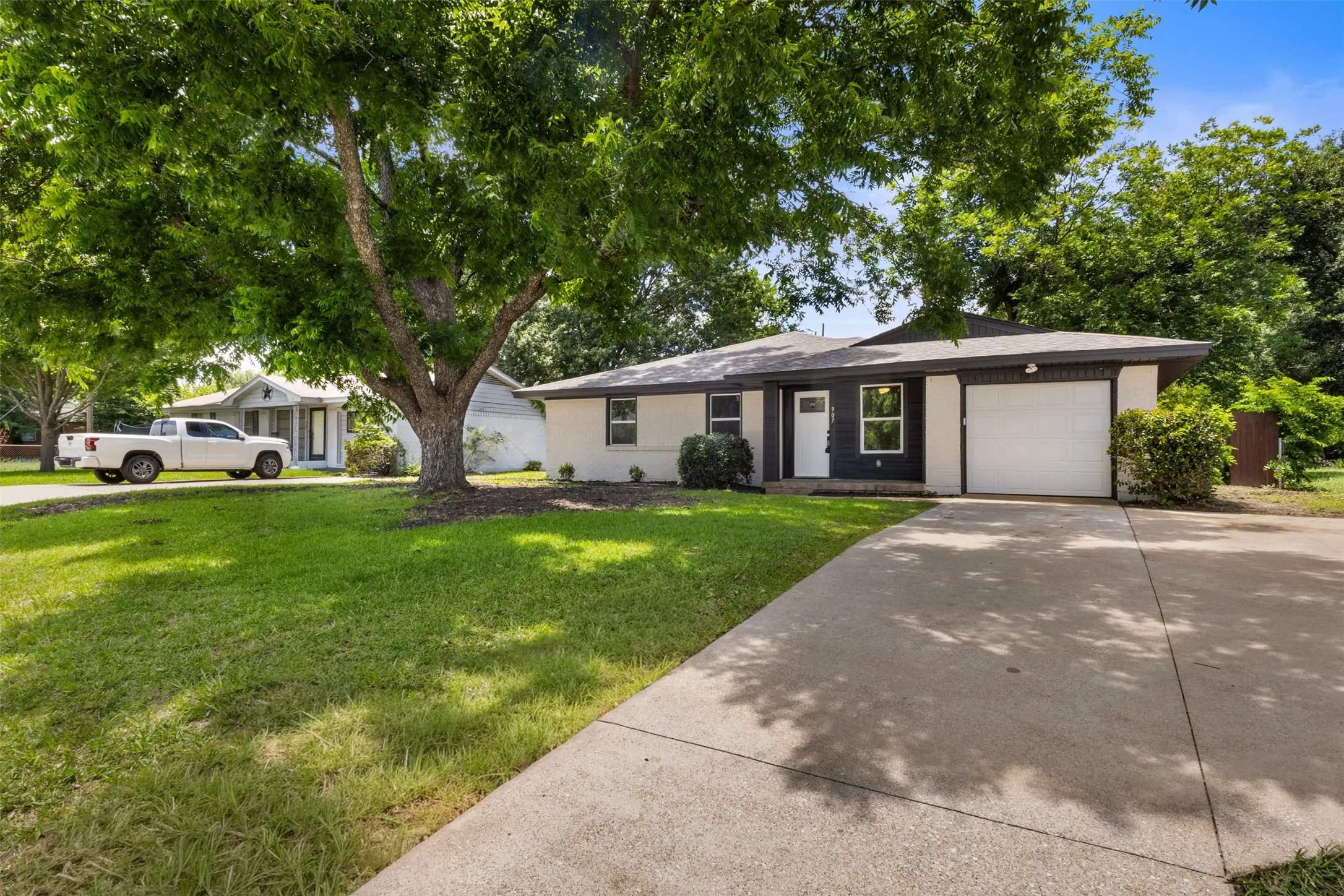 Single-story residence featuring a two-tone exterior, a concrete driveway, an attached single-car garage, and a prominent mature tree with expansive canopy