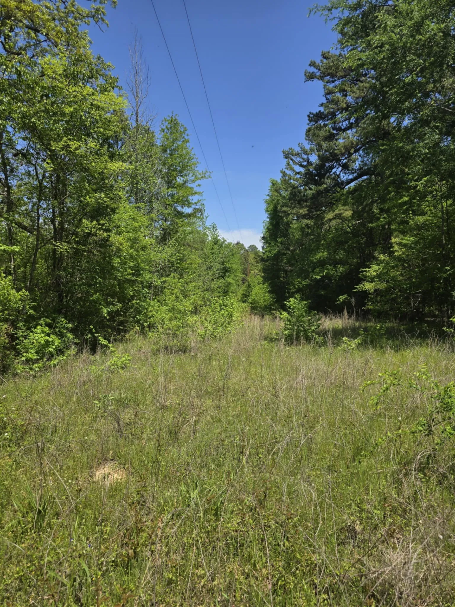 Unimproved Land For Sale in Smith County , TBD County Road 421, Tyler, Texas 75704, 0, 0, Garage spaces, 0 Sqft, built in 0, mls#21303600, Real Estate Agent in Tyler, Homes For Sale in Smith county, Homes For Sale in Tyler, Realtor in Tyler Texas, Real Estate Brokerage Independent Realty Texas, Luminita Cordes Realtor