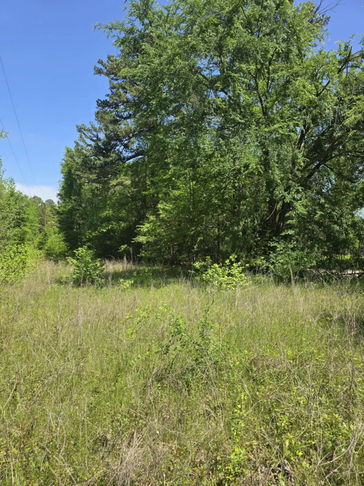 Unimproved Land For Sale in Smith County , TBD County Road 421, Tyler, Texas 75704, 0, 0, Garage spaces, 0 Sqft, built in 0, mls#21303600, Real Estate Agent in Tyler, Homes For Sale in Smith county, Homes For Sale in Tyler, Realtor in Tyler Texas, Real Estate Brokerage Independent Realty Texas, Luminita Cordes Realtor