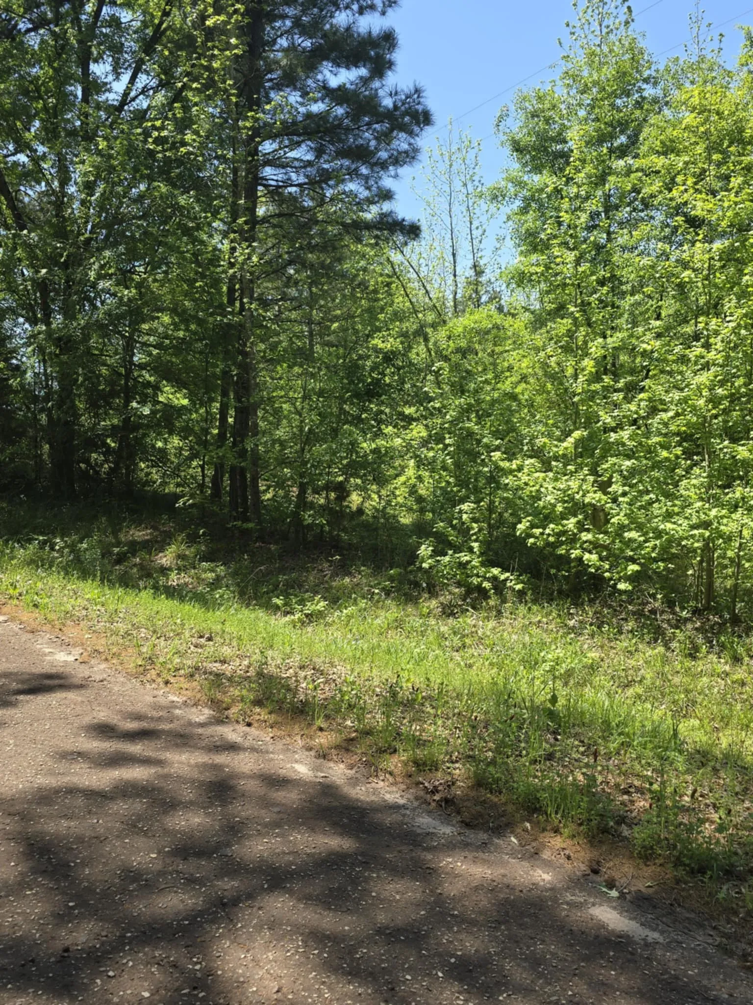 Unimproved Land For Sale in Smith County , TBD County Road 421, Tyler, Texas 75704, 0, 0, Garage spaces, 0 Sqft, built in 0, mls#21303600, Real Estate Agent in Tyler, Homes For Sale in Smith county, Homes For Sale in Tyler, Realtor in Tyler Texas, Real Estate Brokerage Independent Realty Texas, Luminita Cordes Realtor