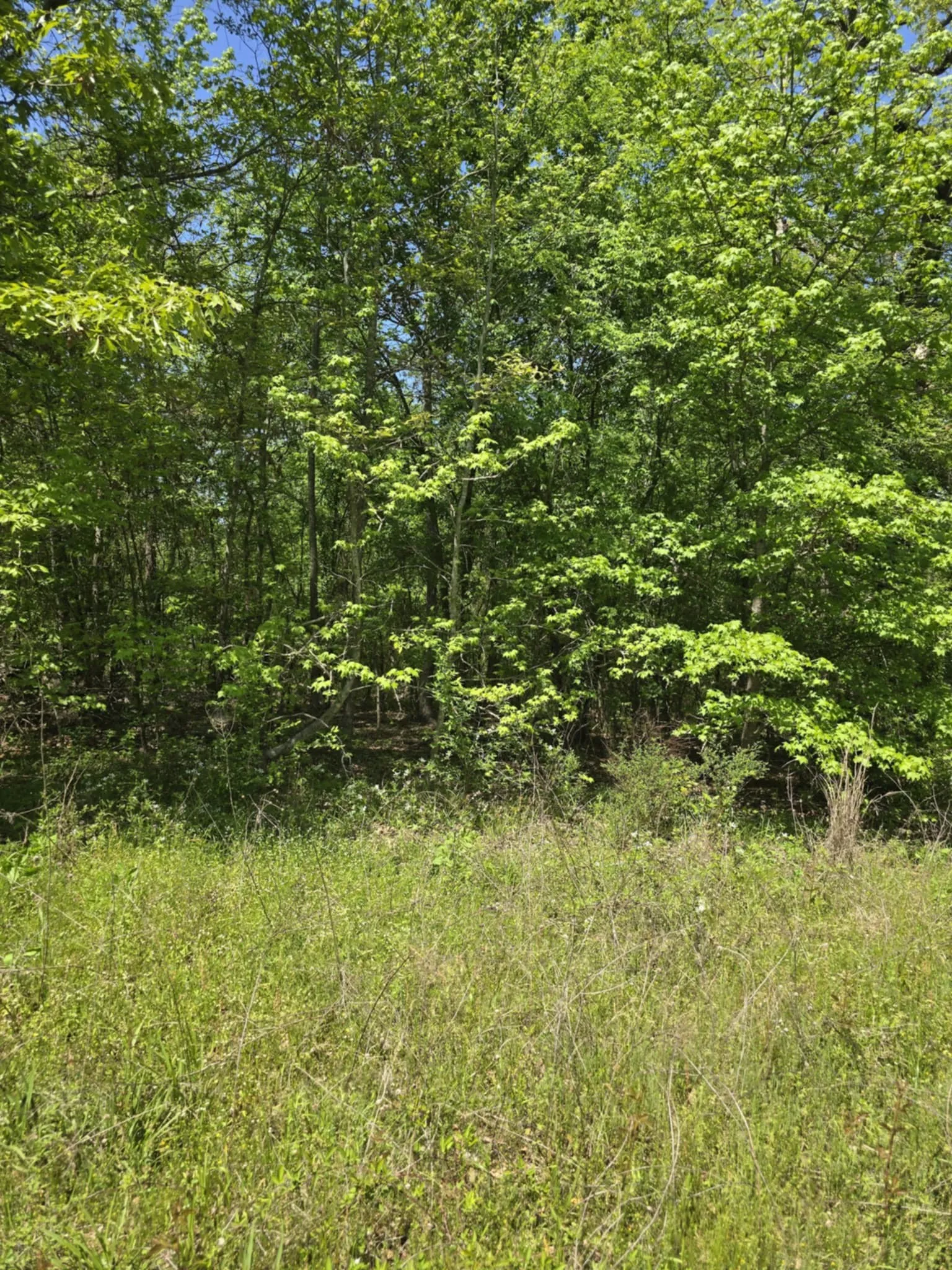 Unimproved Land For Sale in Smith County , TBD County Road 421, Tyler, Texas 75704, 0, 0, Garage spaces, 0 Sqft, built in 0, mls#21303600, Real Estate Agent in Tyler, Homes For Sale in Smith county, Homes For Sale in Tyler, Realtor in Tyler Texas, Real Estate Brokerage Independent Realty Texas, Luminita Cordes Realtor