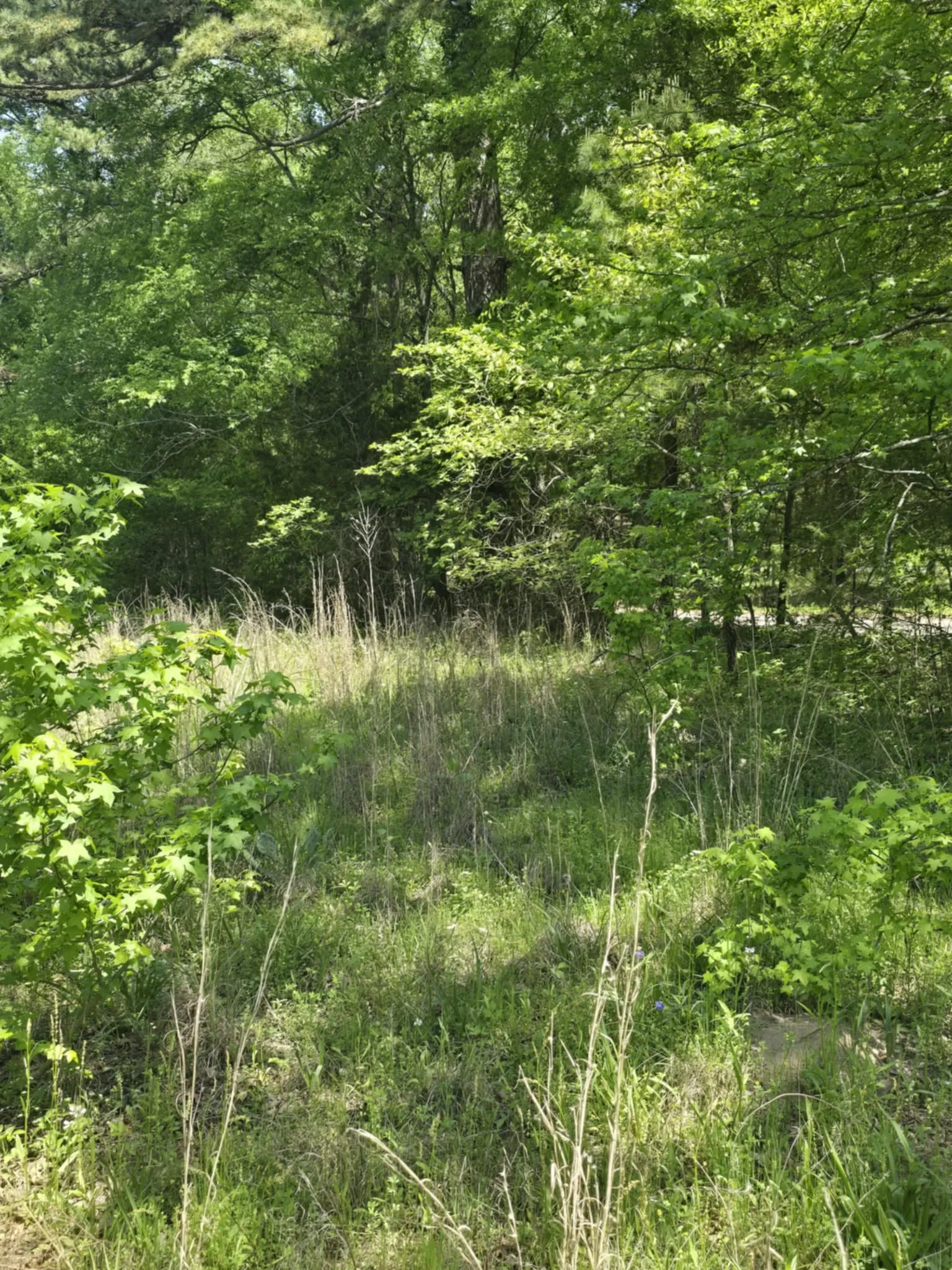 Unimproved Land For Sale in Smith County , TBD County Road 421, Tyler, Texas 75704, 0, 0, Garage spaces, 0 Sqft, built in 0, mls#21303600, Real Estate Agent in Tyler, Homes For Sale in Smith county, Homes For Sale in Tyler, Realtor in Tyler Texas, Real Estate Brokerage Independent Realty Texas, Luminita Cordes Realtor