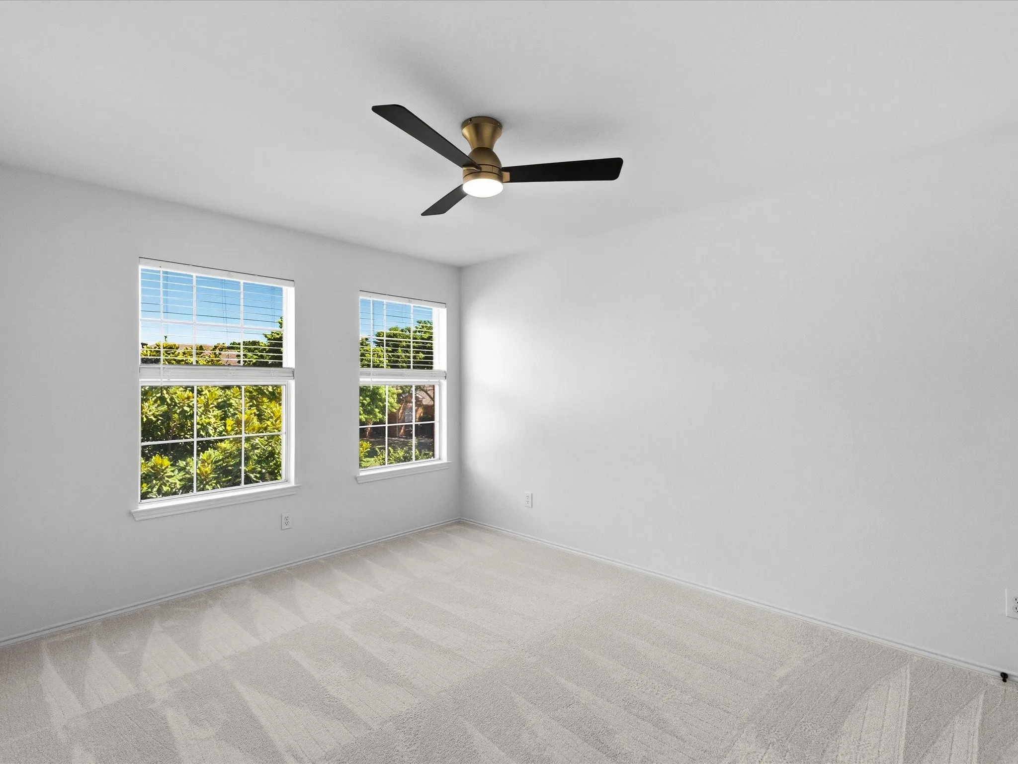 Bright room featuring two windows, neutral carpeting, a ceiling fan with light, and light-toned walls